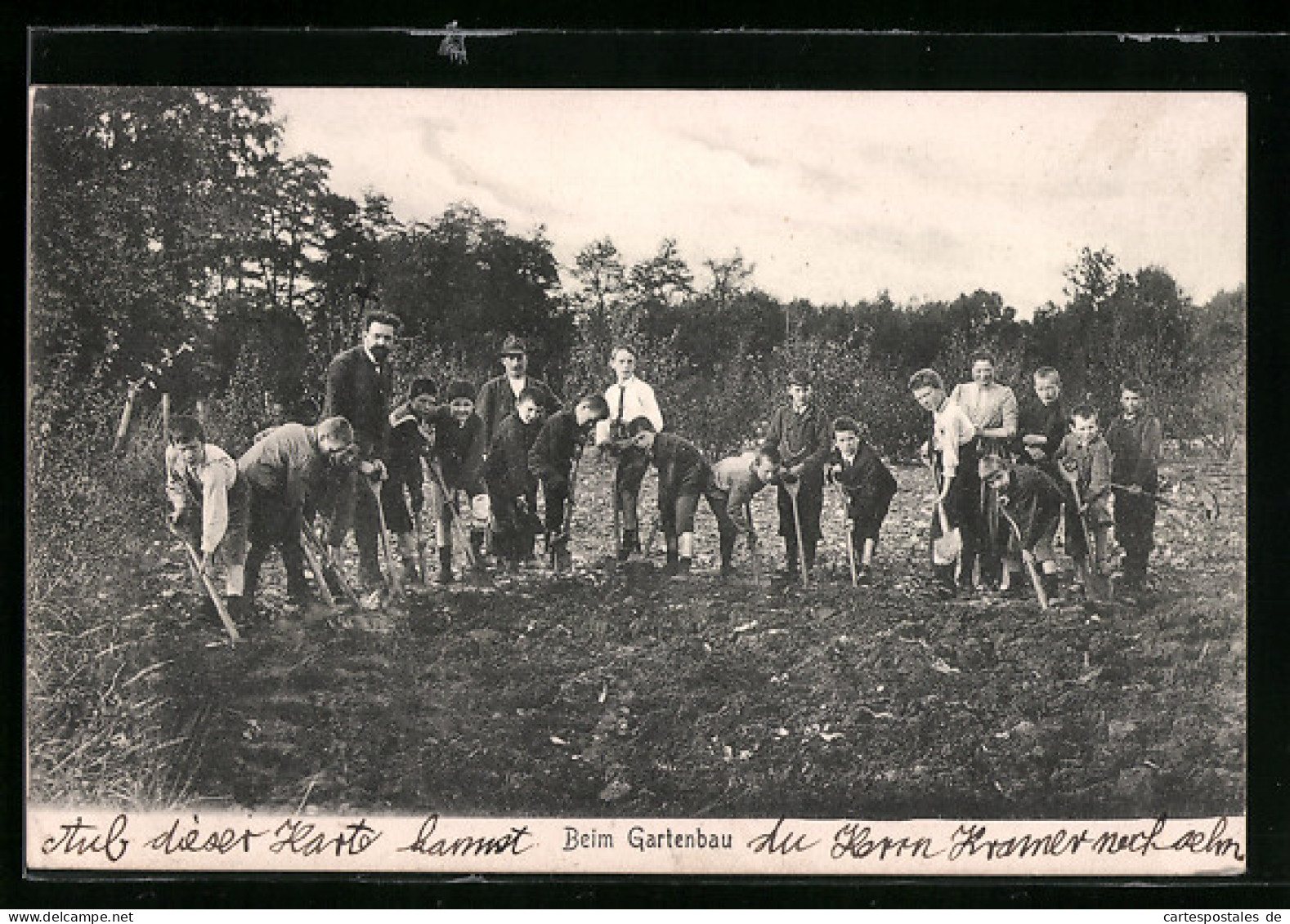 AK Ilsenburg / Harz, Männer Beim Gartenbau, D. L. E. H.  - Ilsenburg