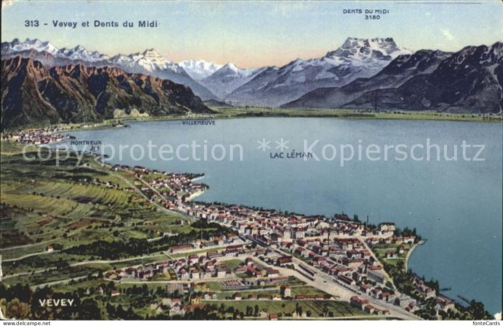 12052154 Vevey VD Panoramakarte Alpen Und Lac Leman Vevey - Other & Unclassified