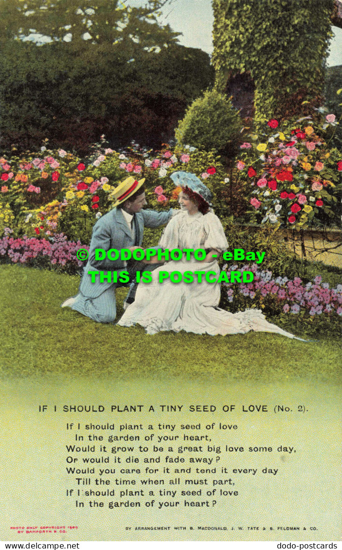 R557122 If I Should Plant A Tiny Seed Of Love. Bamforth. Series No. 4538. 2. B. - Mundo