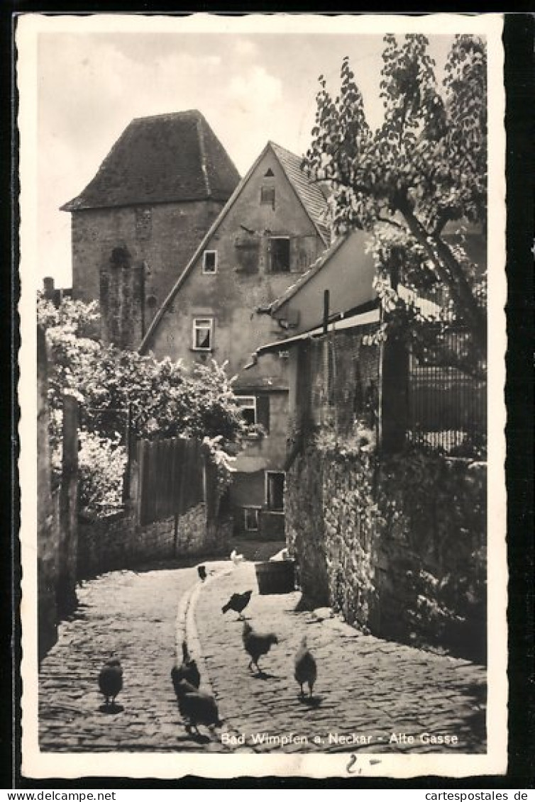 AK Bad Wimpfen, Alte Gasse  - Bad Wimpfen