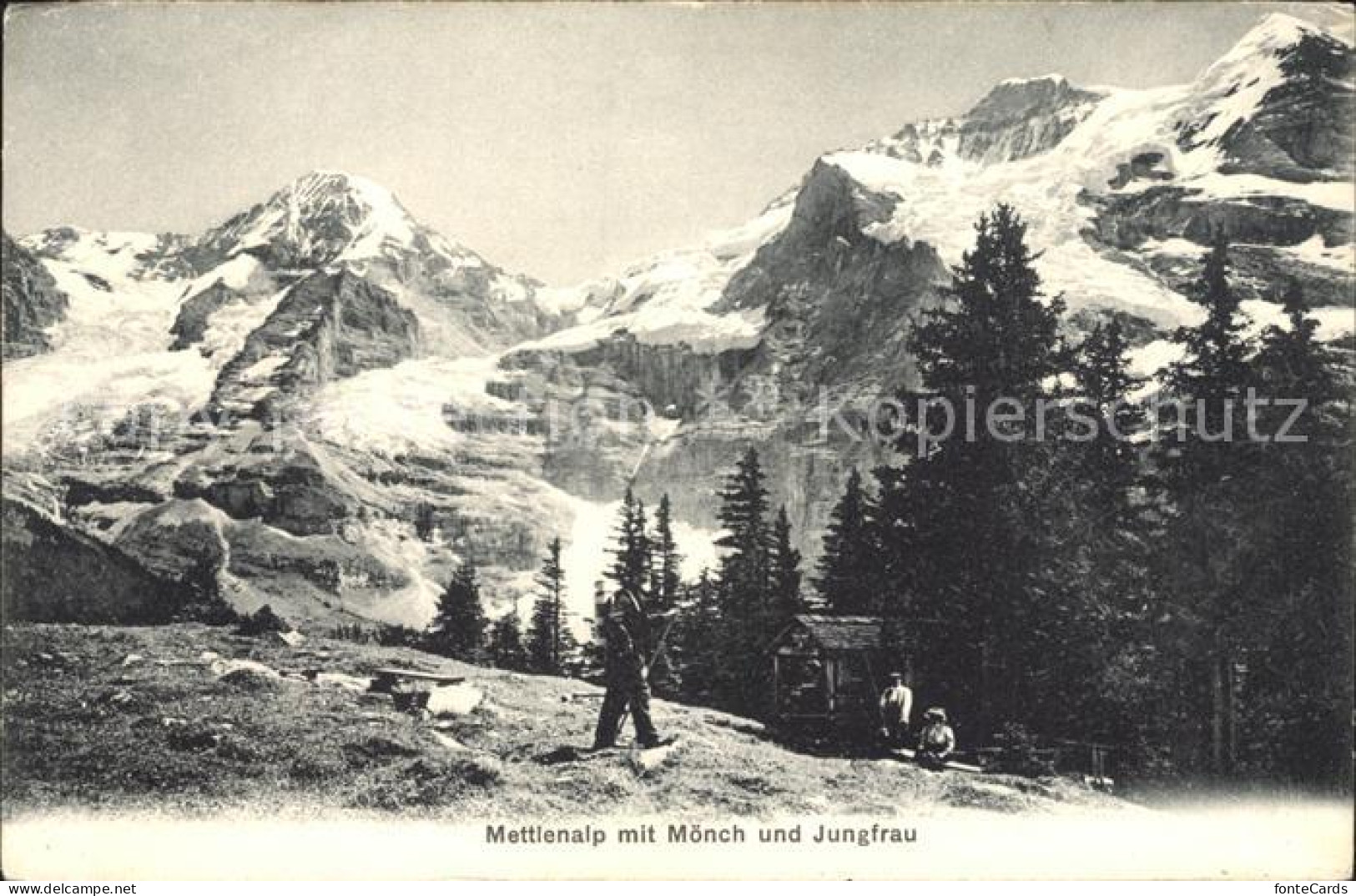 12048580 Mettlen Alp Mit Moench Und Jungfrau Mettlen - Sonstige & Ohne Zuordnung