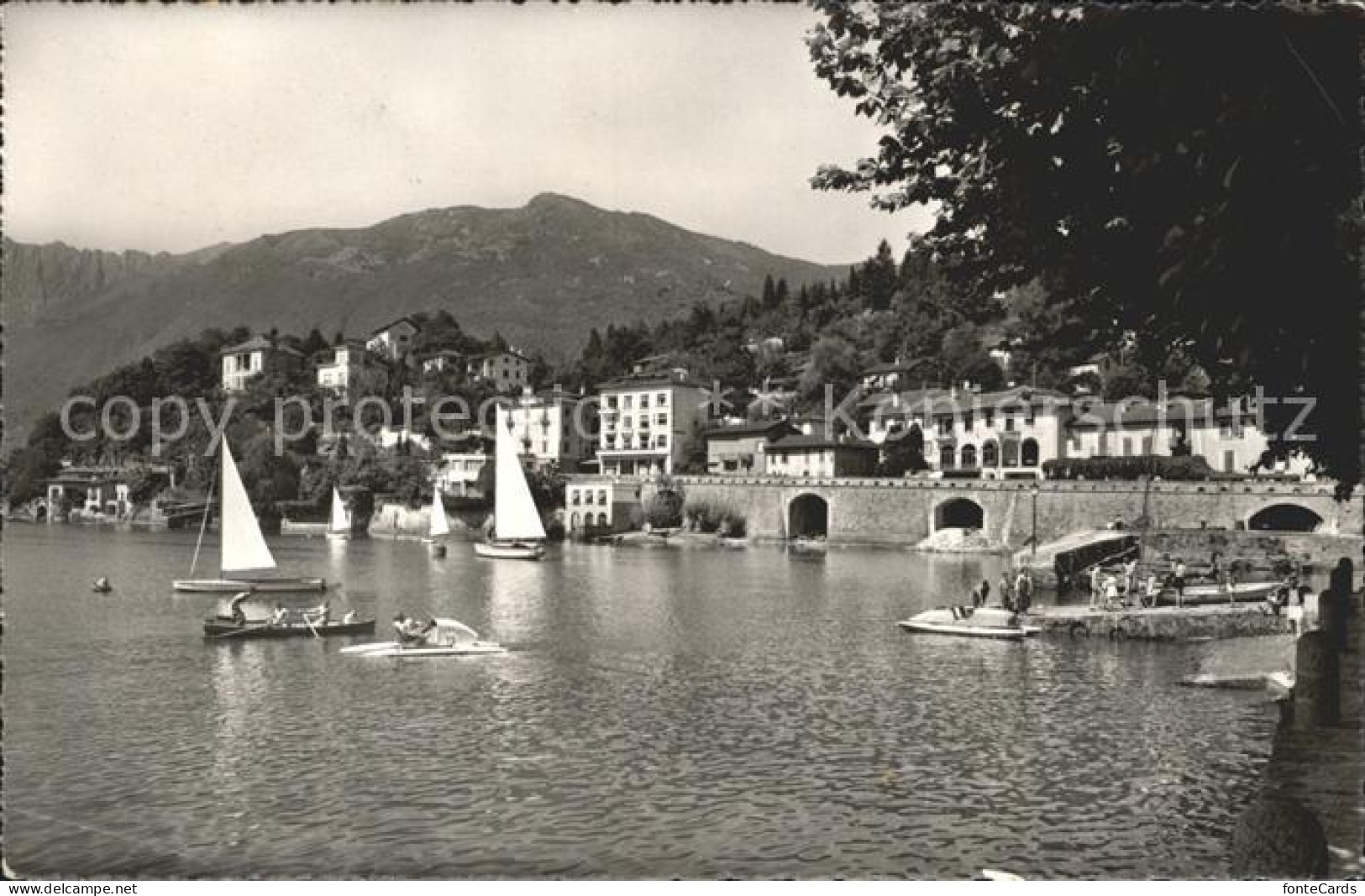 12047584 Ascona TI San Michele Boote Lago Maggiore Ascona - Other & Unclassified