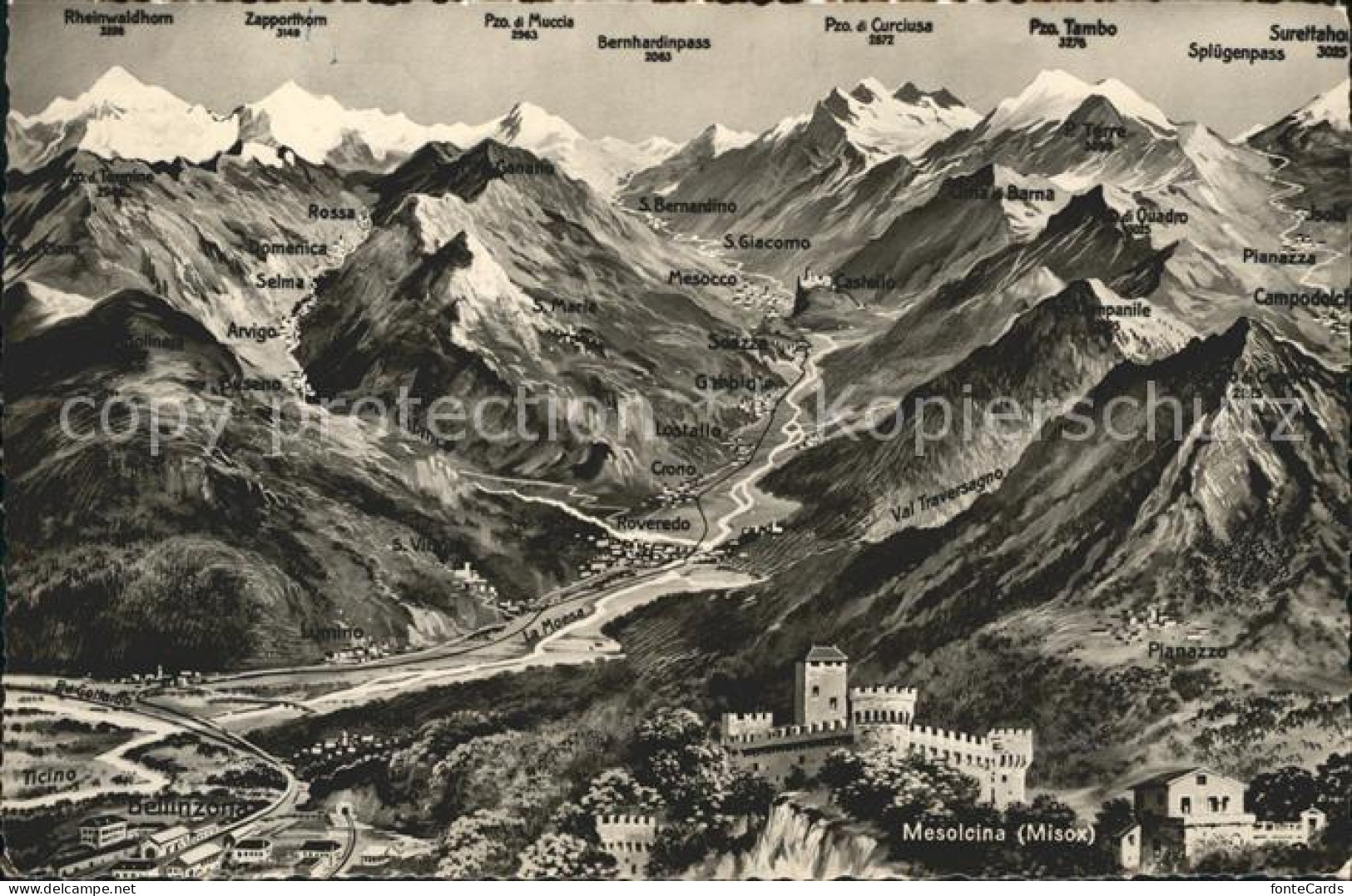 12047574 Bellinzona Panorama Valle Mesolcina Misox Alpen Bellinzona - Other & Unclassified