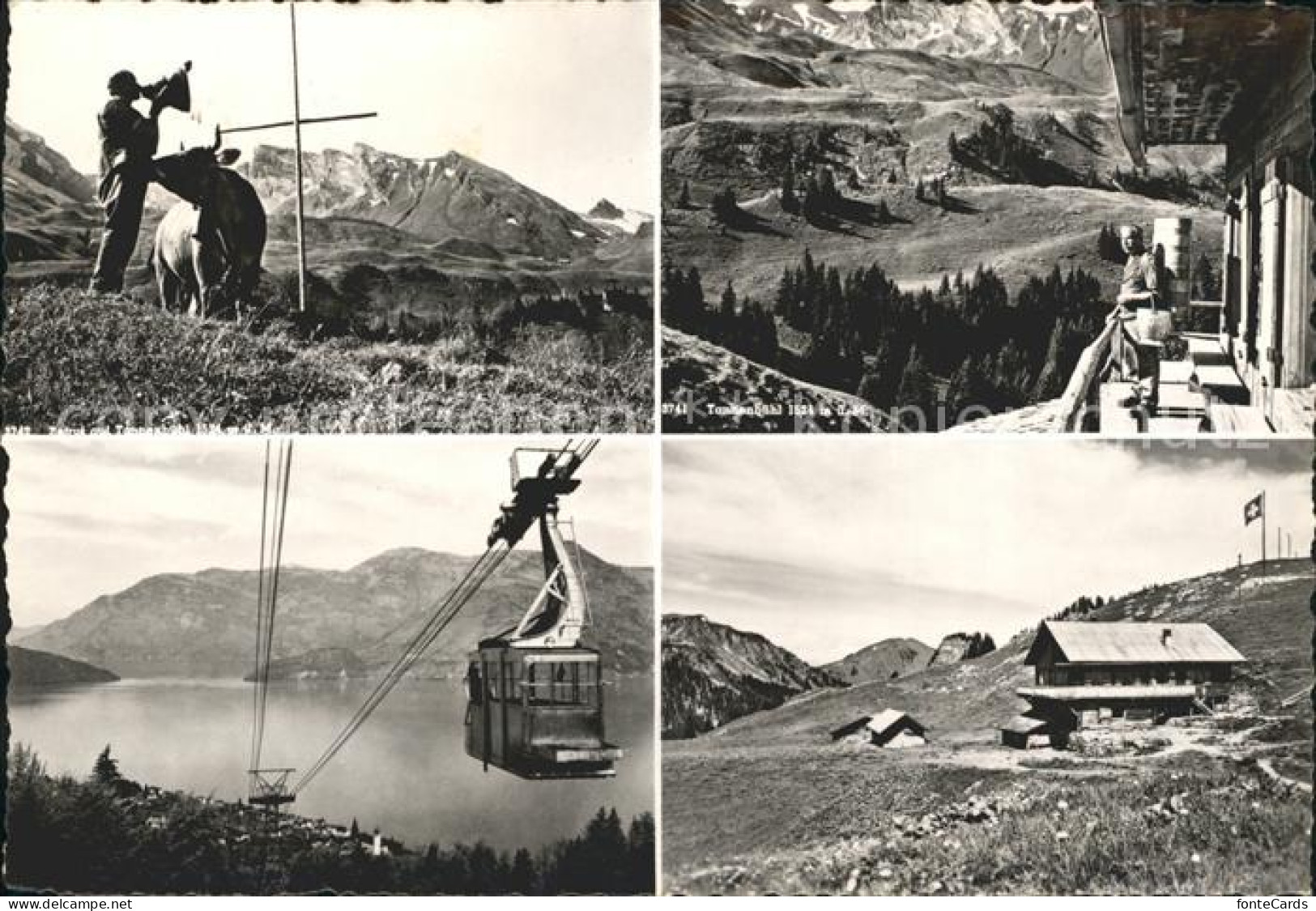 12047554 Beckenried Betruf Berggasthaus Tannenbuehl Bergbahn Vierwaldstaettersee - Autres & Non Classés