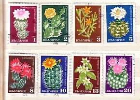 1970 Flora  Cactuses Set Of  8v.-used/oblitere (O)  BULGARIA  / Bulgarie - Usati