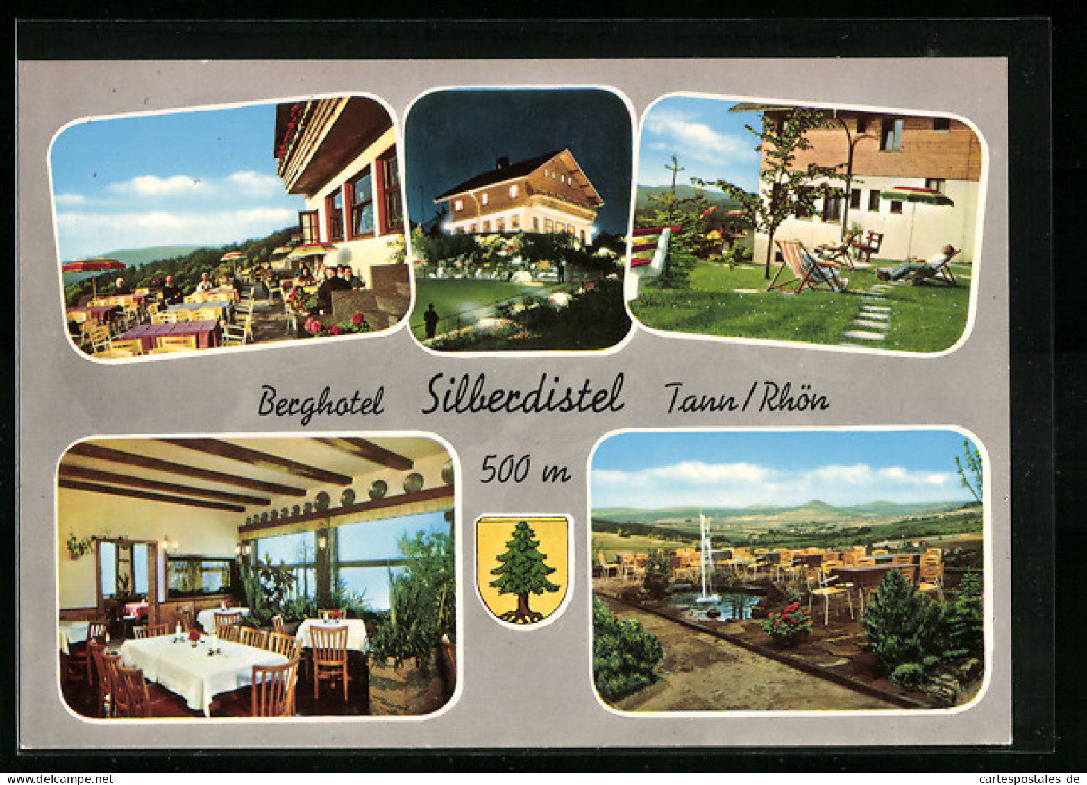 AK Tann I. Rhön, Berghotel Silberdistel, Auf Der Terrasse, Im Gastraum, Auf Der Liegewiese  - Rhön