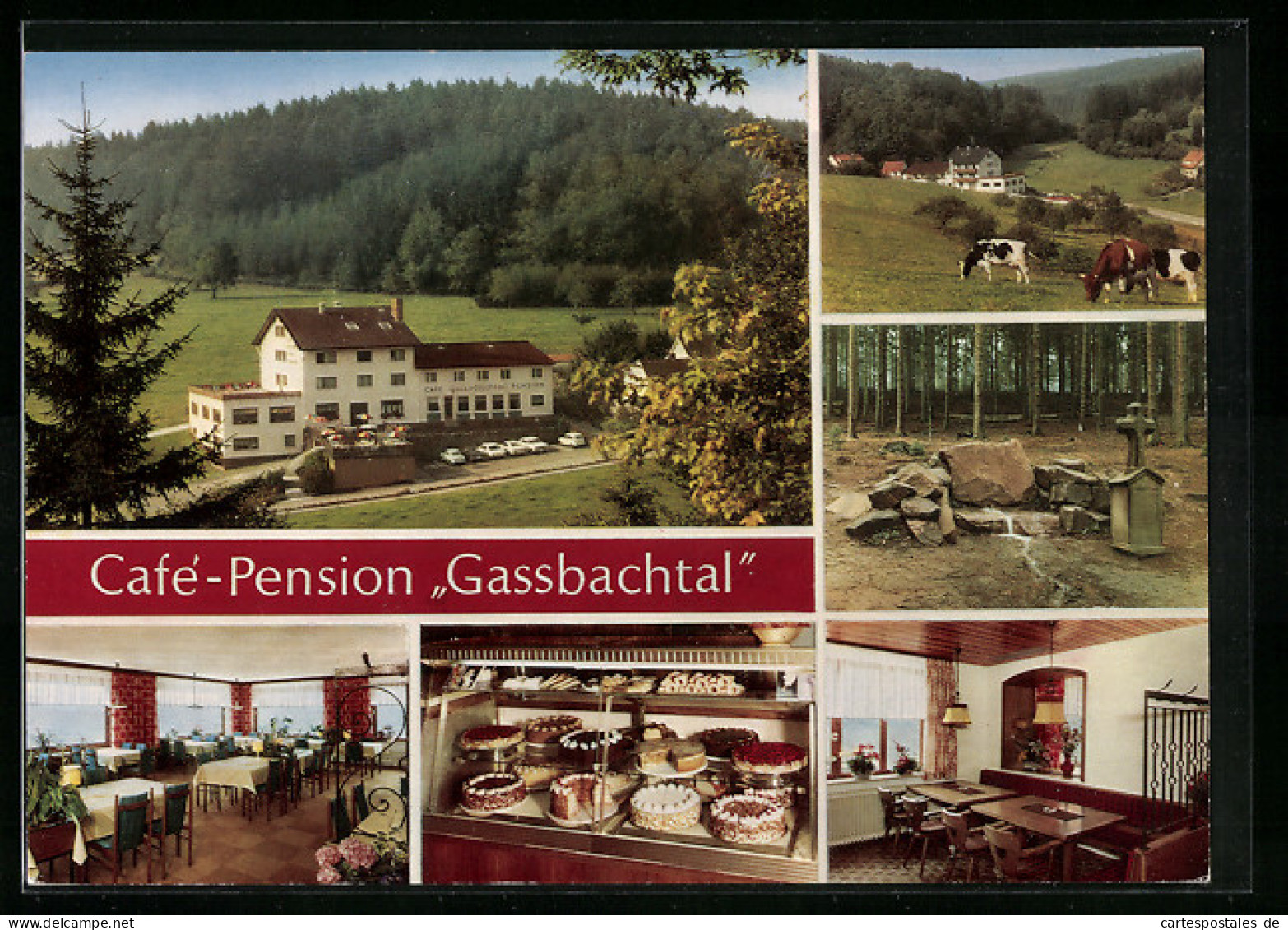 AK Gras-Ellenbach Im Odenwald, Cafe Pension Gassbachtal, Im Gastraum, Kuchenbuffett, Quelle, Kuhweide  - Odenwald