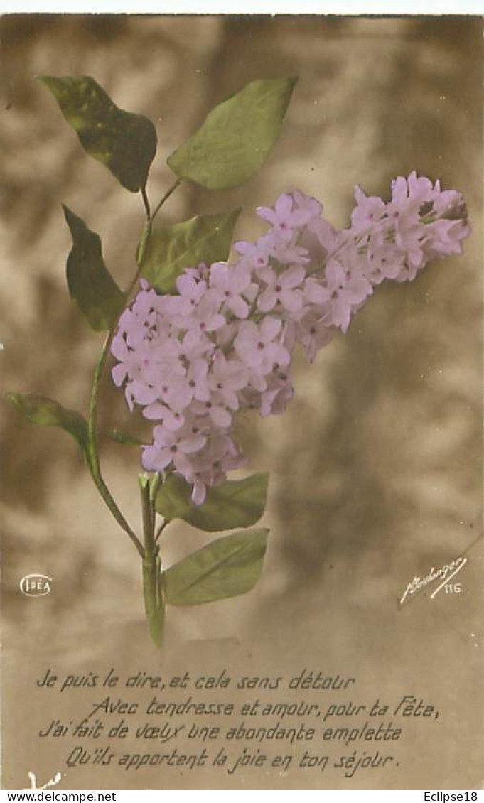 Fleurs Violette    Q 2585 - Flowers