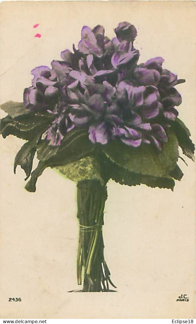Fleurs Violette    Q 2585 - Bloemen