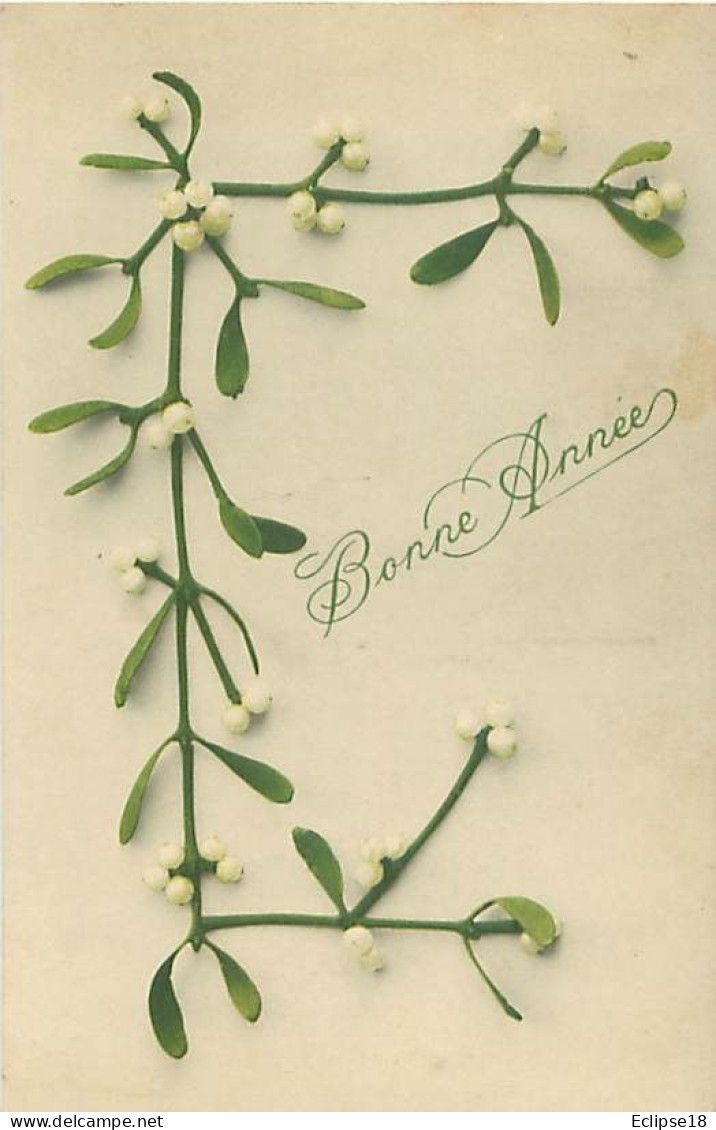 Fleurs Branche De Gui - Bonne Année     Q 2586 - Bloemen