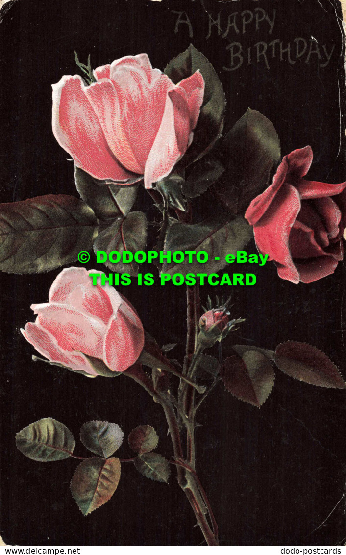 R557873 A Happy Birthday. Pink Roses. Serie. 657 - Mundo