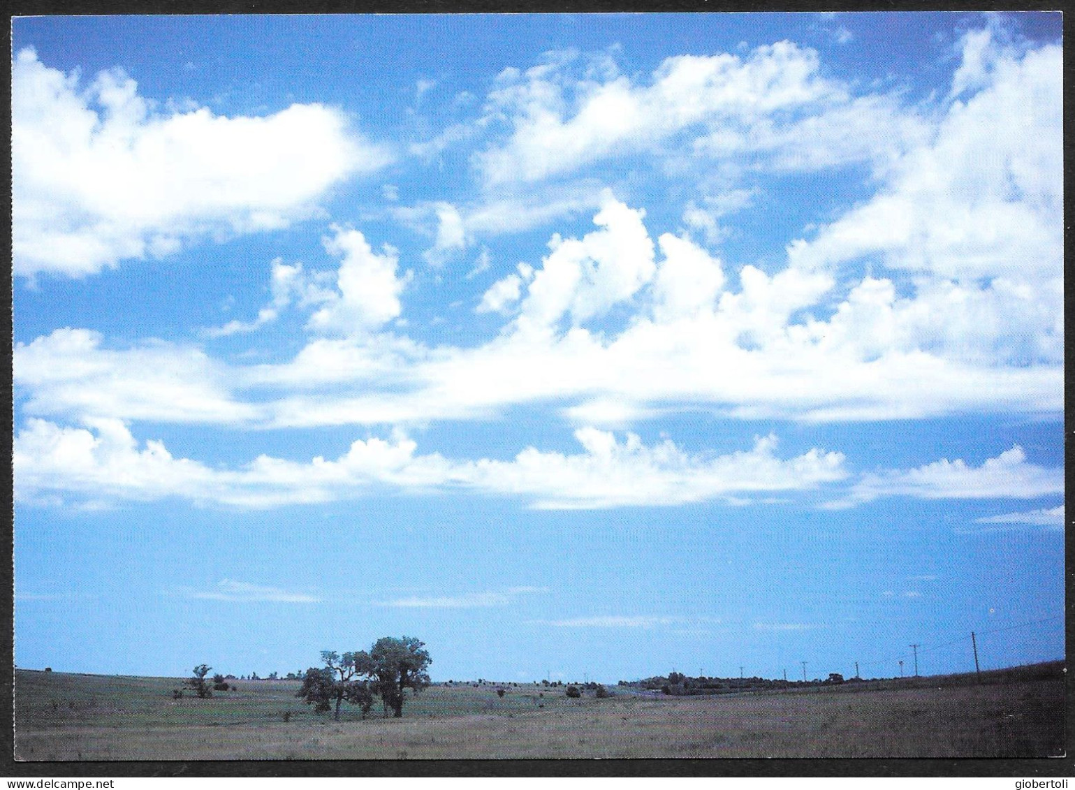 Stati Uniti/United States/États Unis: Intero, Stationery, Entier, Nuvole, Clouds, Nuages, (Altocumulus Castellanus) - Protection De L'environnement & Climat