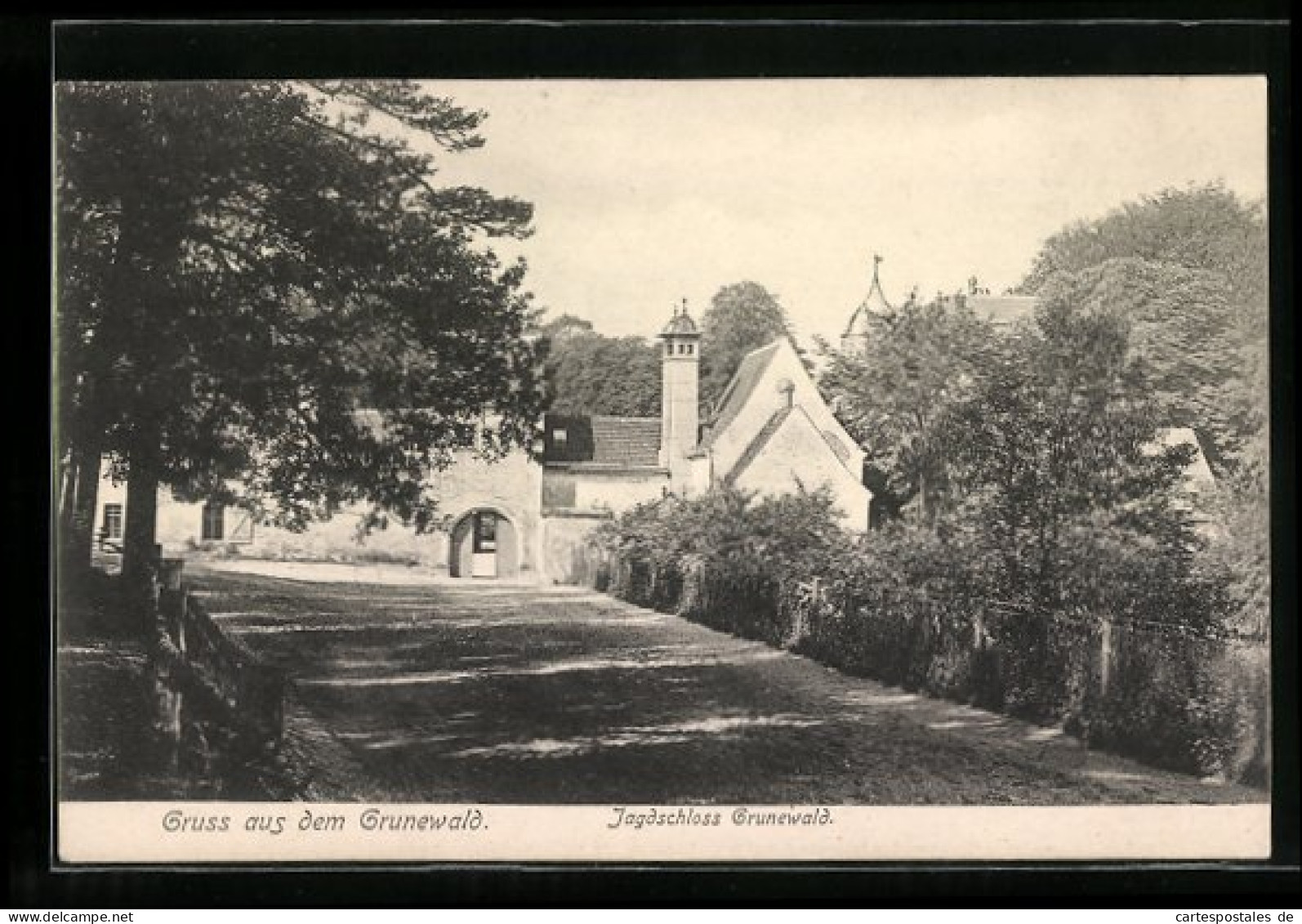 AK Berlin-Grunewald, Weg Zum Jagdschloss  - Hunting