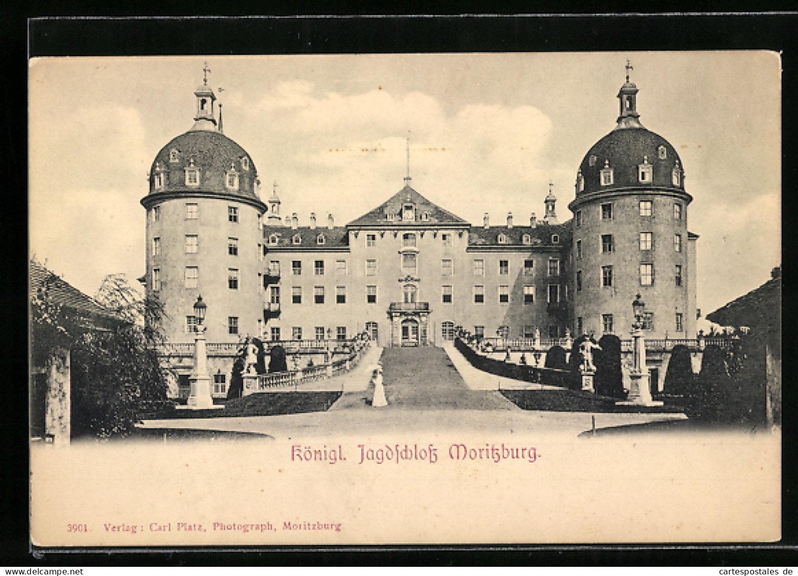 AK Moritzburg, Königl. Jagdschloss  - Hunting