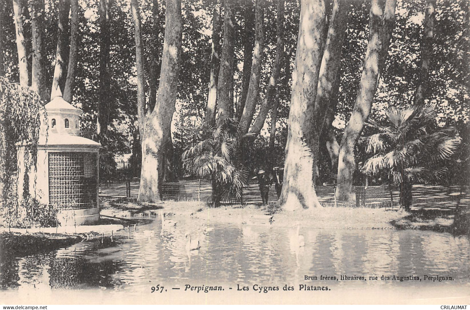 66-PERPIGNAN-N°T5076-B/0181 - Perpignan