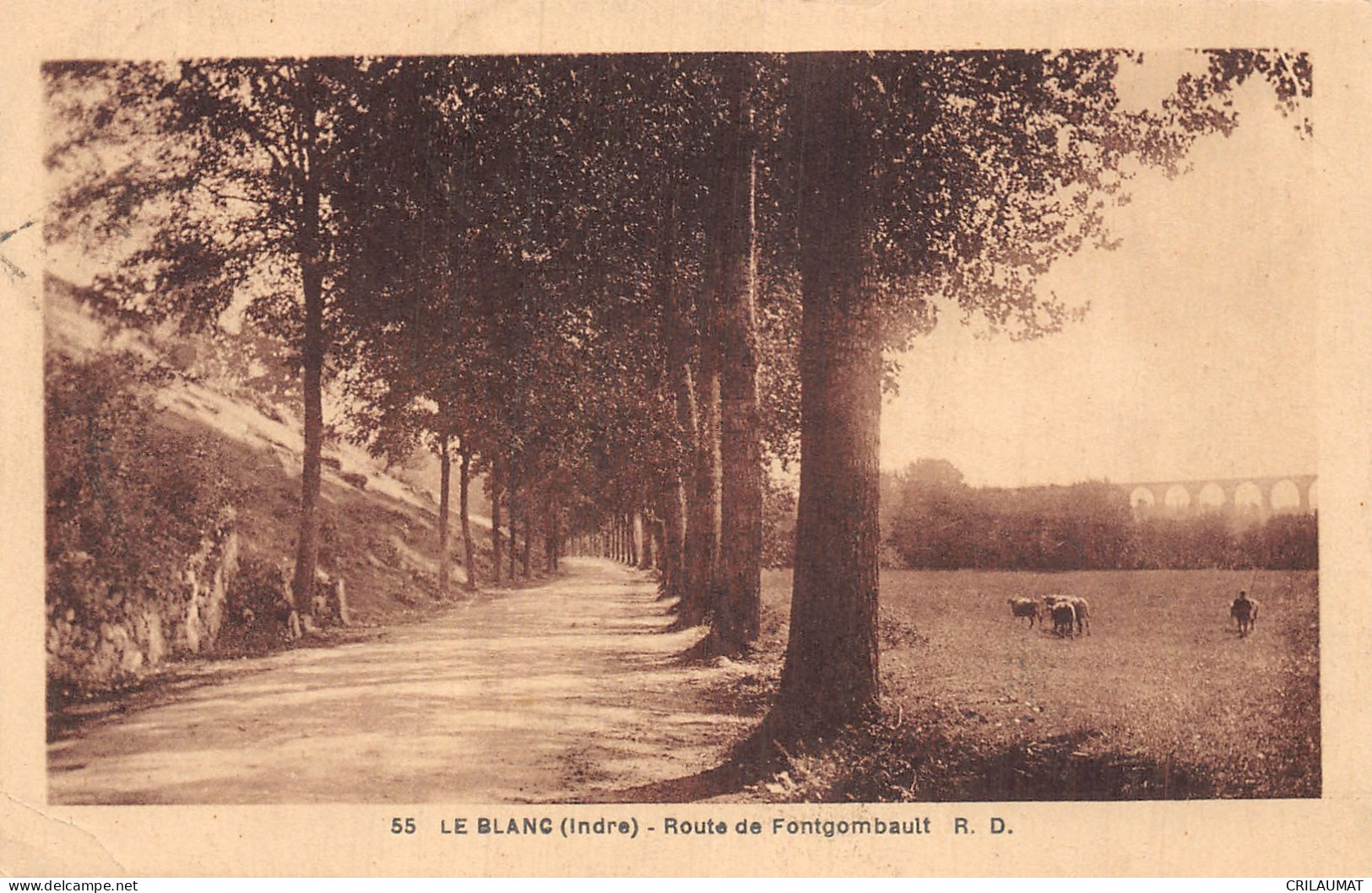 36-LE BLANC-N°T5078-F/0109 - Le Blanc