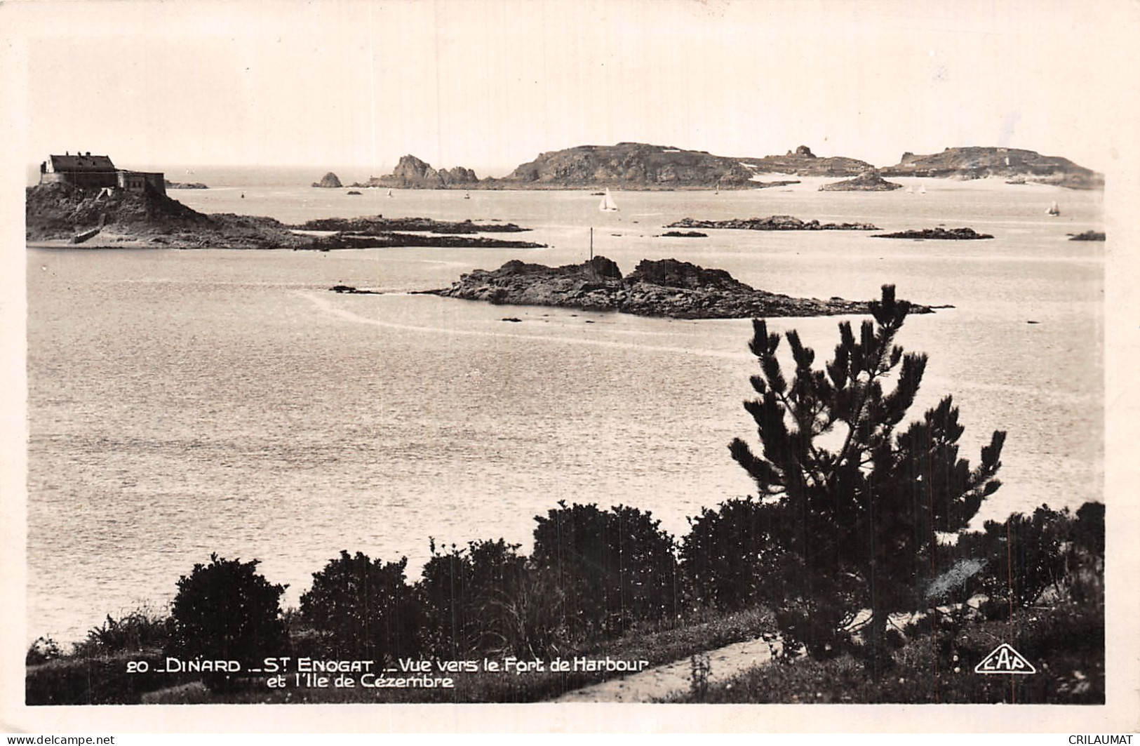 35-DINARD-N°T5079-D/0105 - Dinard