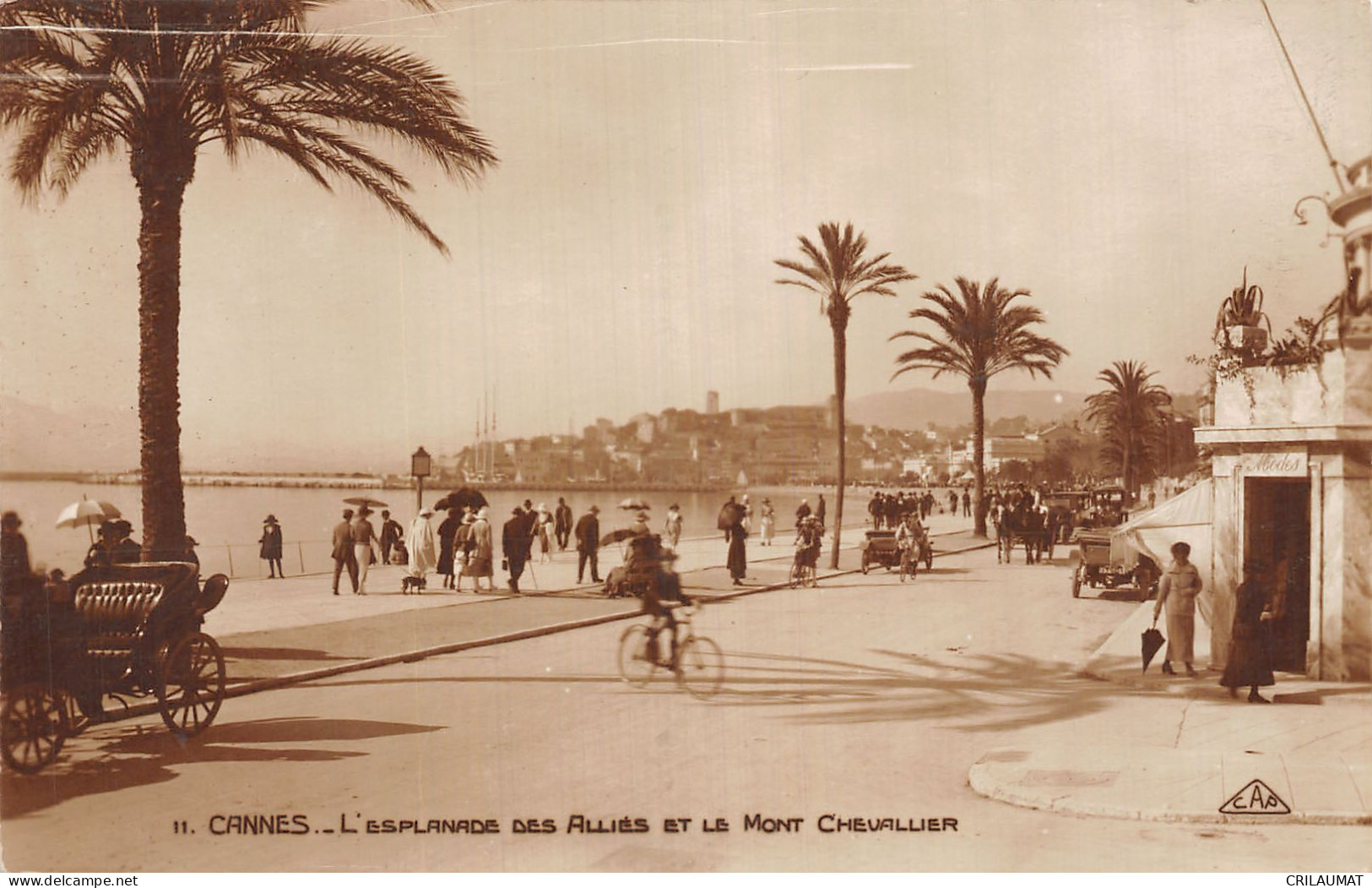 06-CANNES-N°T5079-G/0365 - Cannes