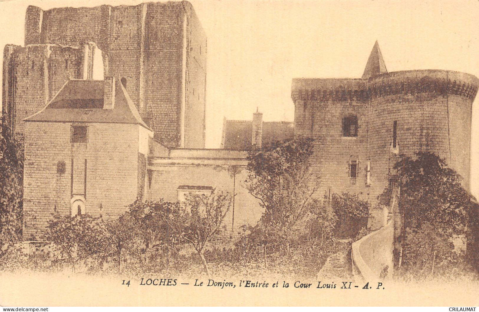 37-LOCHES-N°T5080-D/0321 - Loches