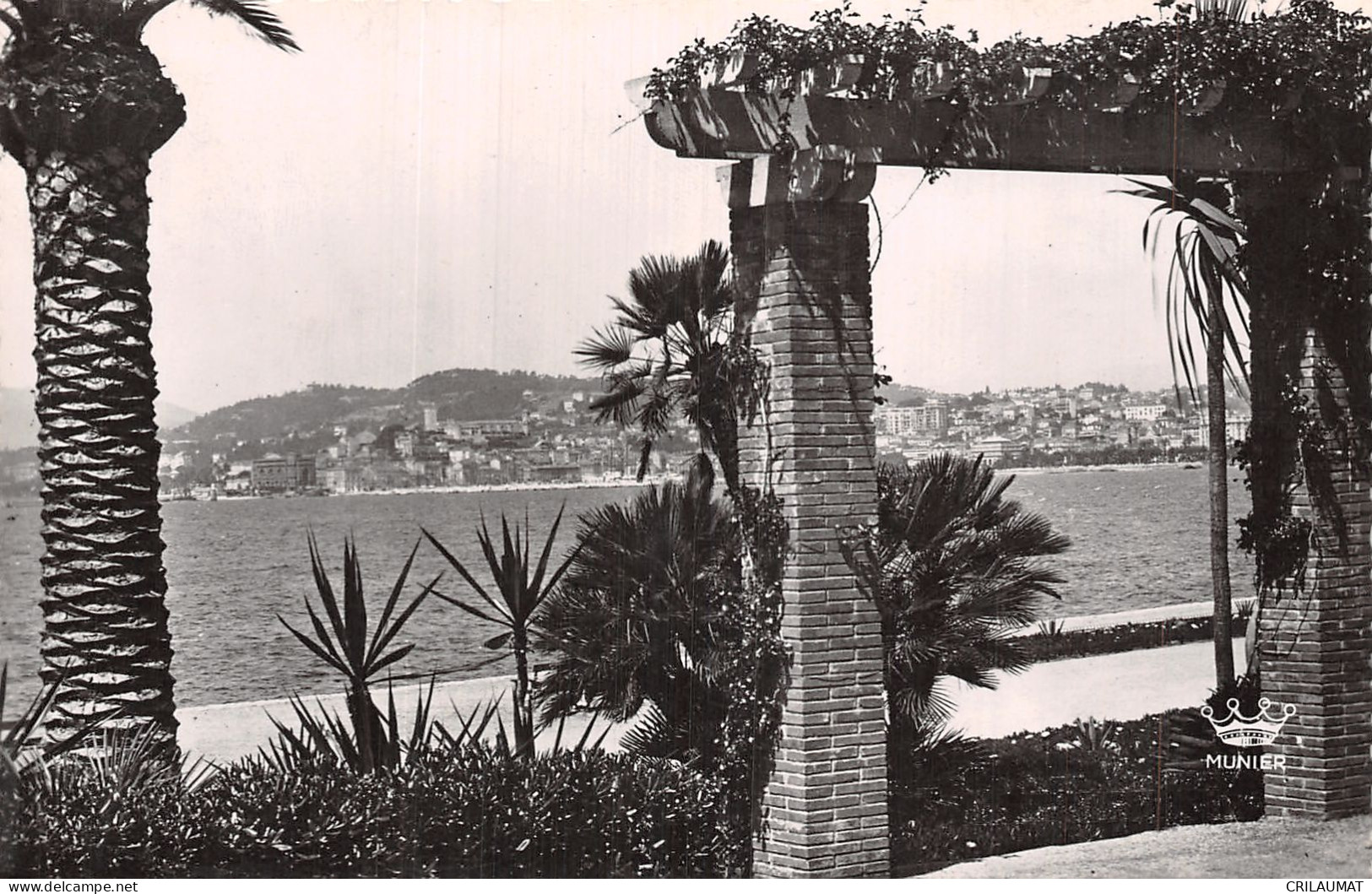 06-CANNES-N°T5080-D/0167 - Cannes