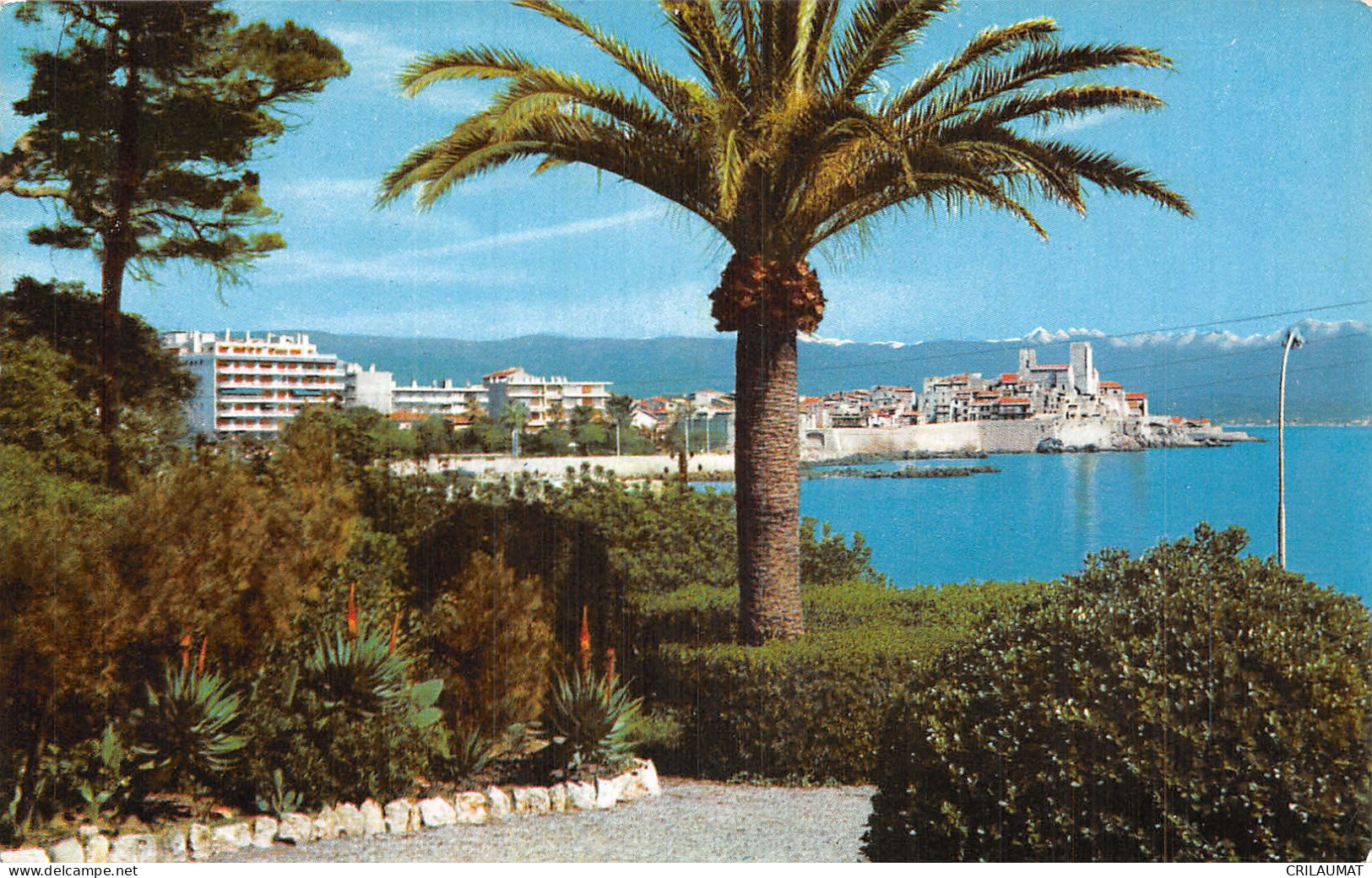 06-ANTIBES-N°T5080-B/0221 - Andere & Zonder Classificatie