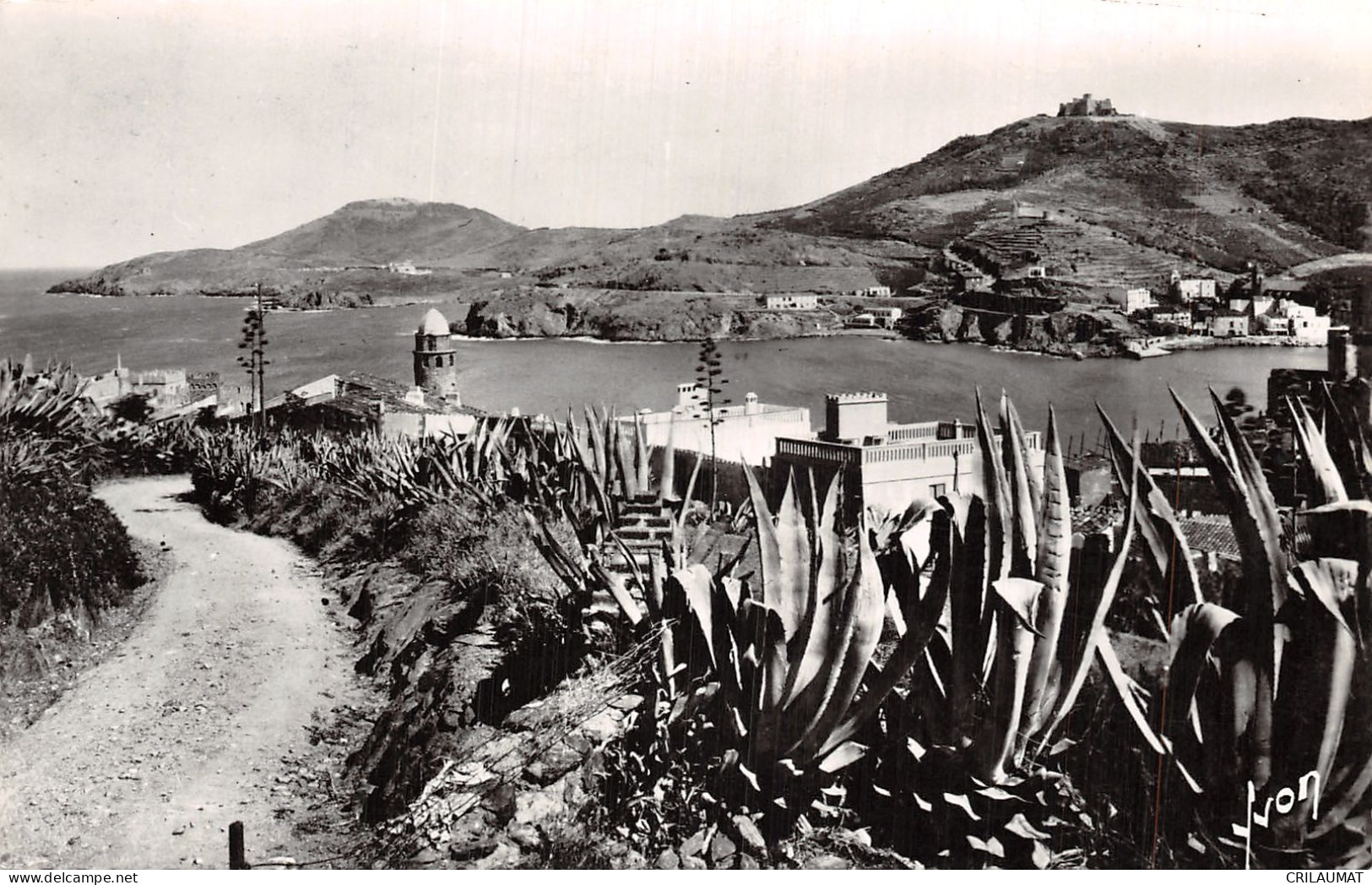 66-COLLIOURE-N°T5080-F/0375 - Collioure