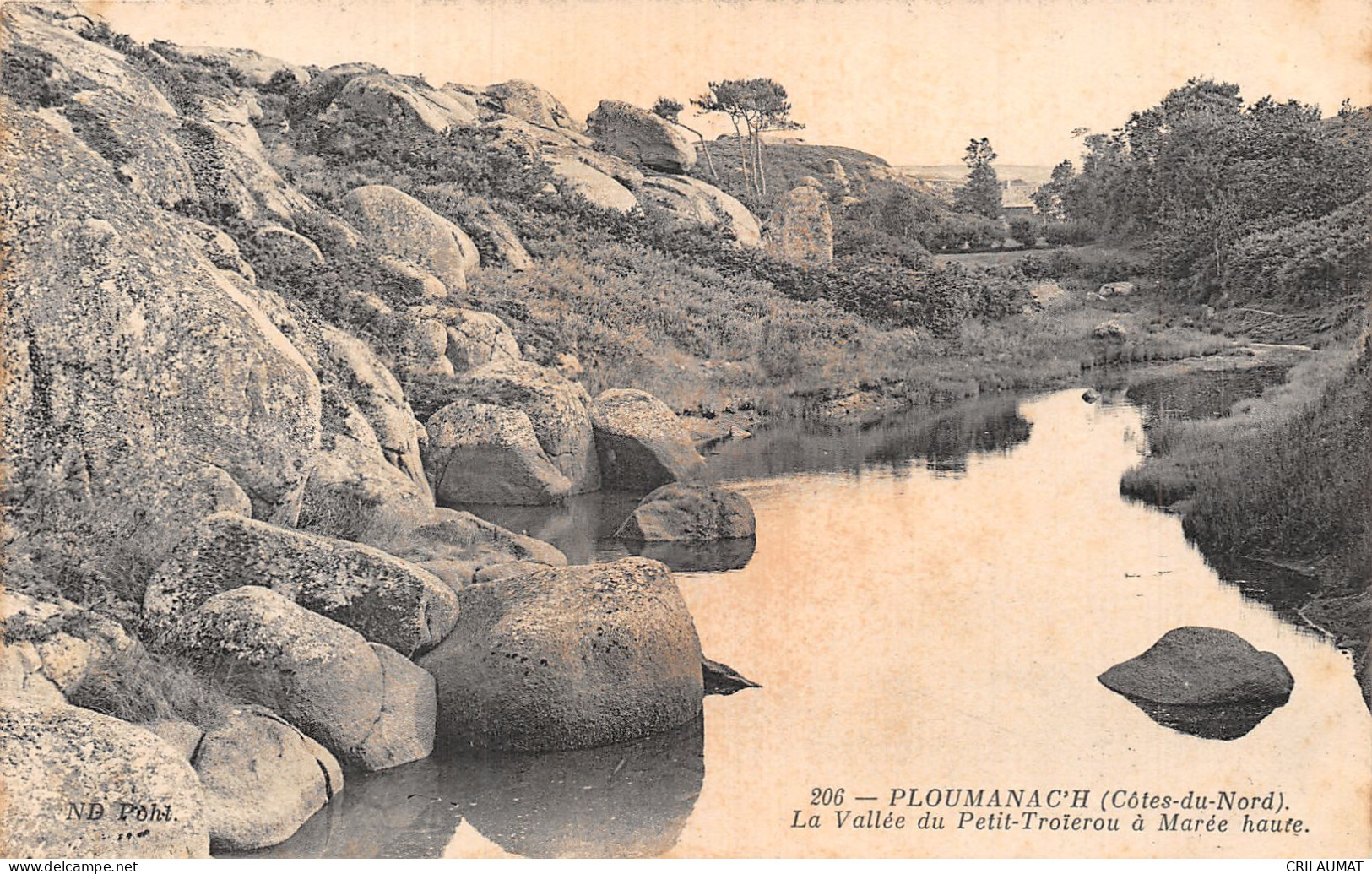 22-PLOUMANACH-N°T5080-H/0295 - Ploumanac'h