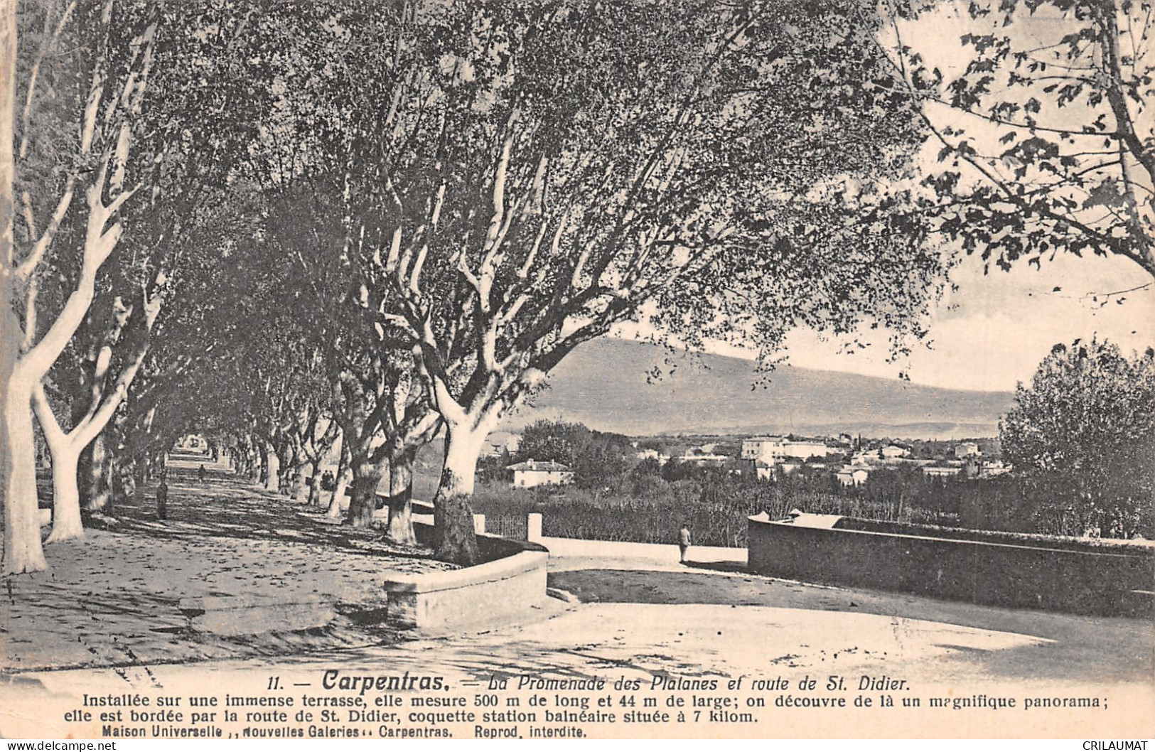 84-CARPENTRAS-N°T5081-E/0101 - Carpentras