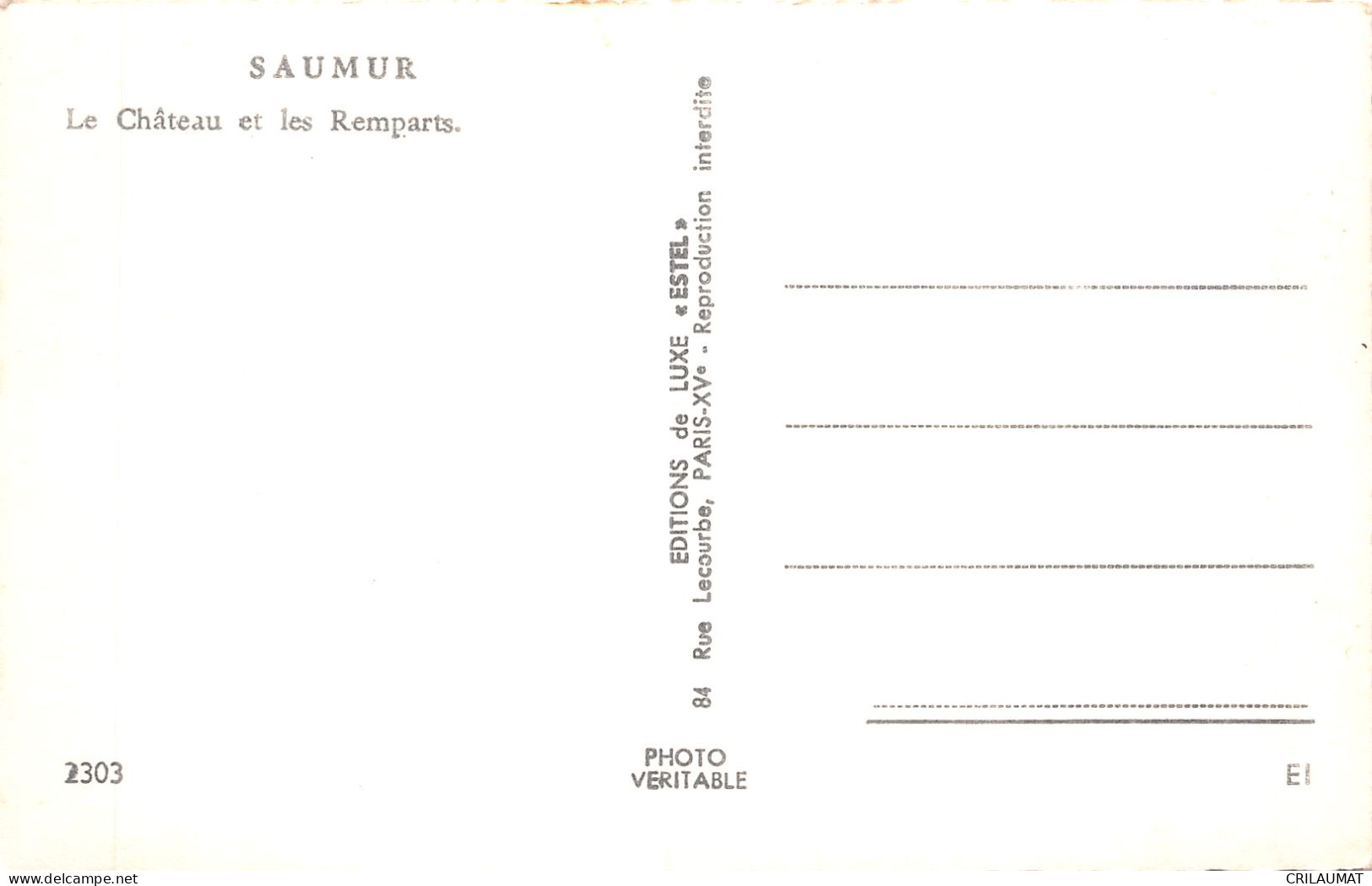 49-SAUMUR-N°T5082-C/0389 - Saumur