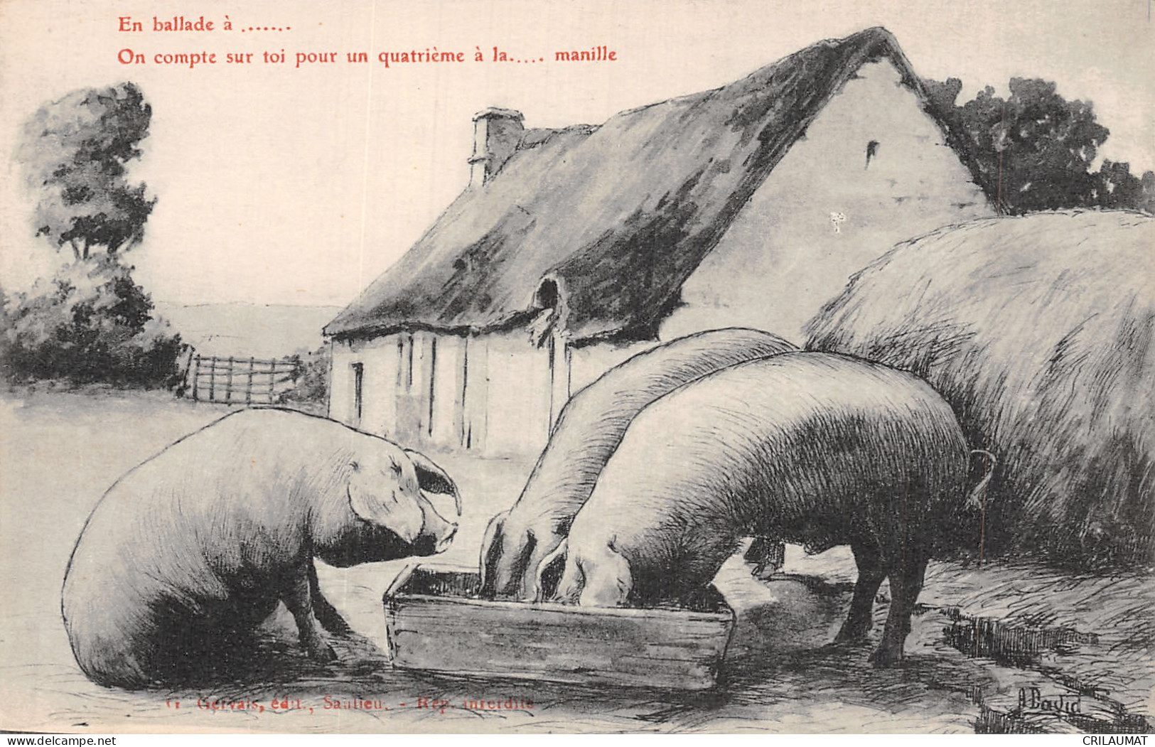 HU-HUMOUR COCHONS-N°T5082-E/0281 - Humour