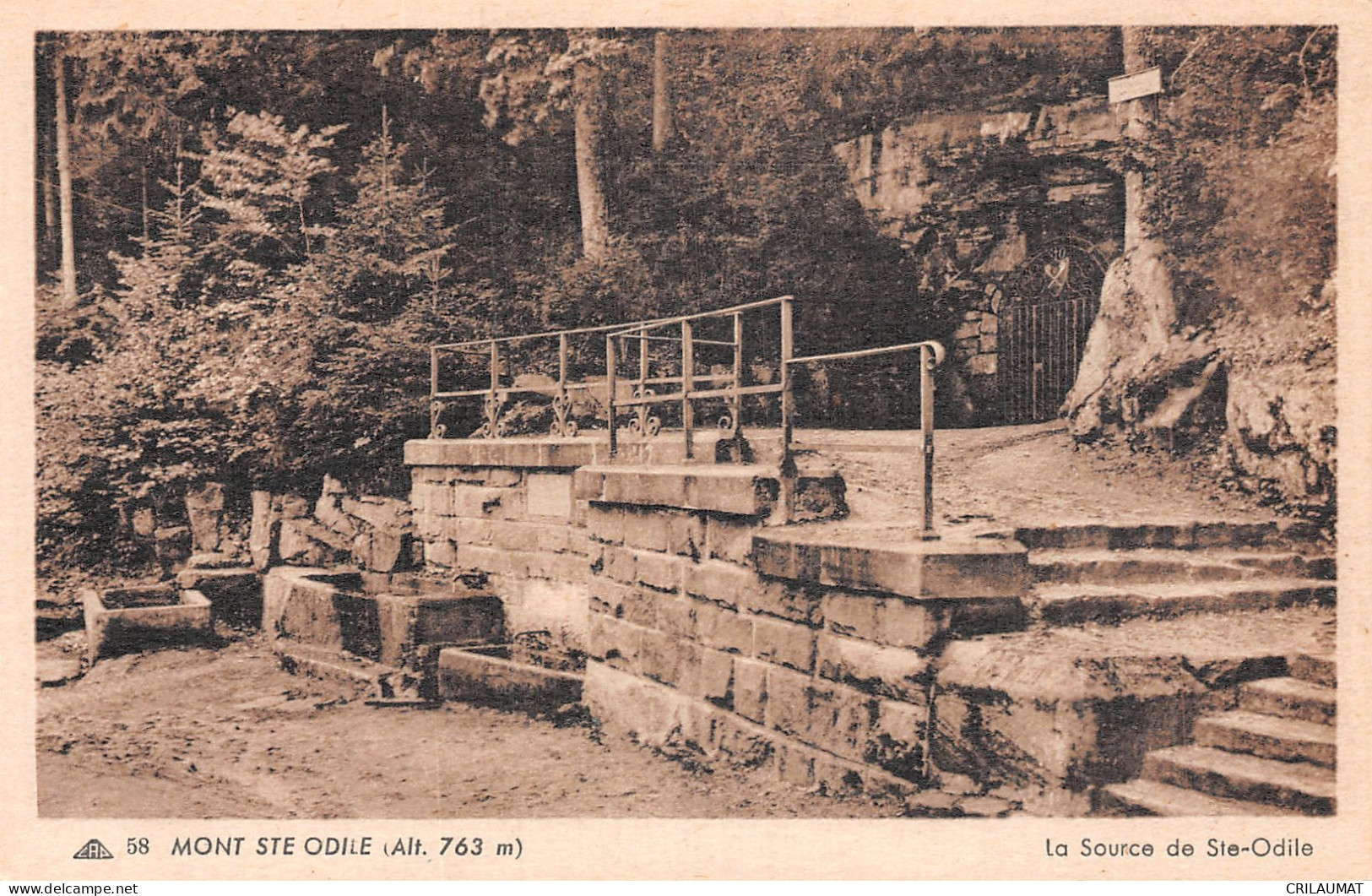 67-MONT SAINTE ODILE-N°T5082-E/0051 - Other & Unclassified