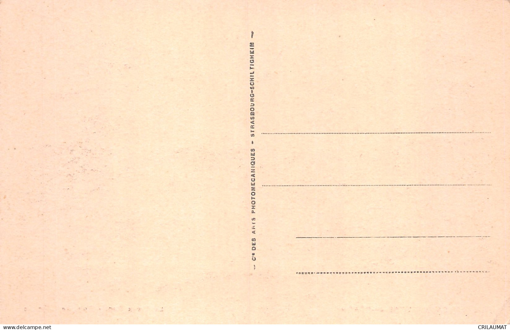 64-SAUVETERRE DE BEARN-N°T5082-D/0327 - Sauveterre De Bearn