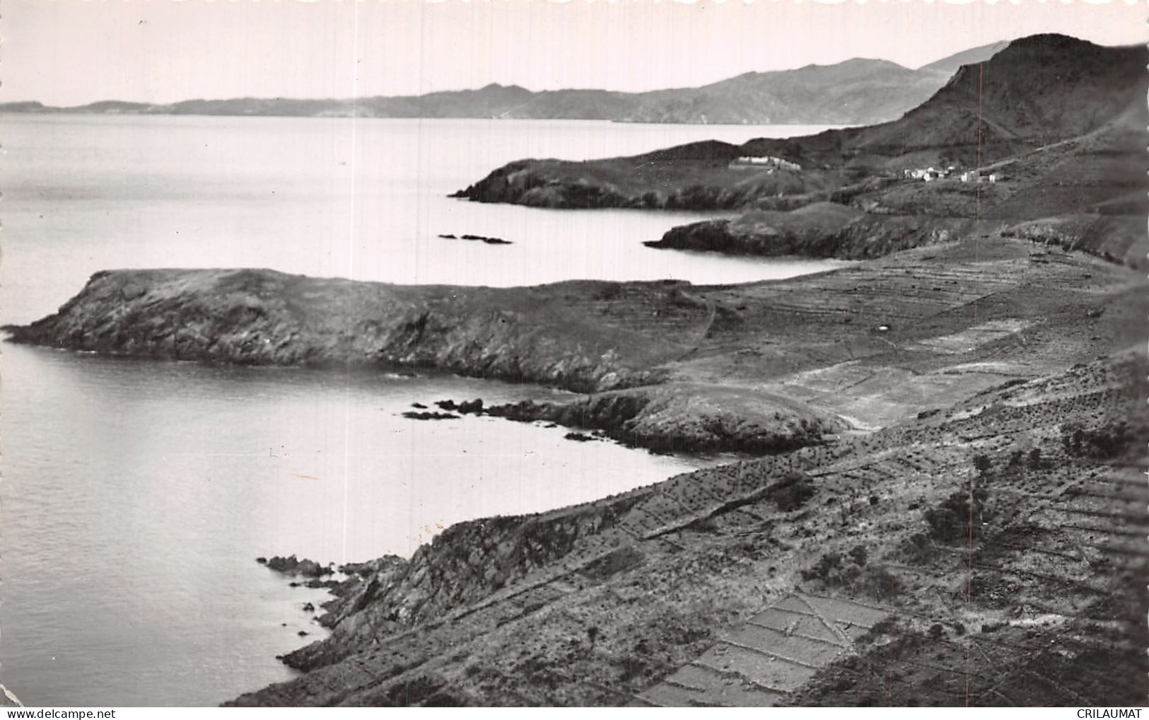 66-BANYULS SUR MER-N°T5082-F/0321 - Banyuls Sur Mer