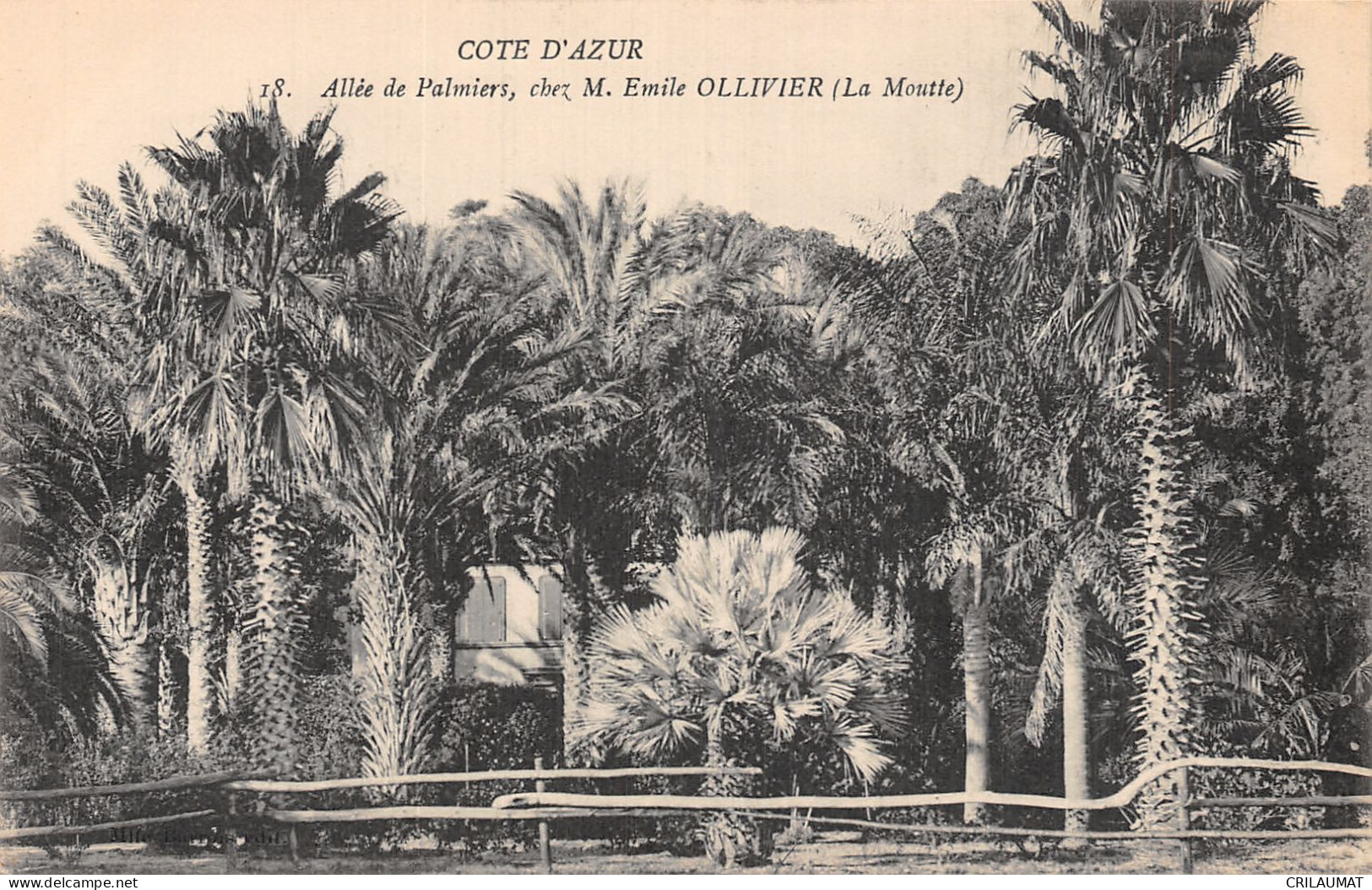 83-SAINT TROPEZ ALLEE DE PALMIERS CHEZ M EMILE OLLIVIER-N°T5083-A/0271 - Saint-Tropez