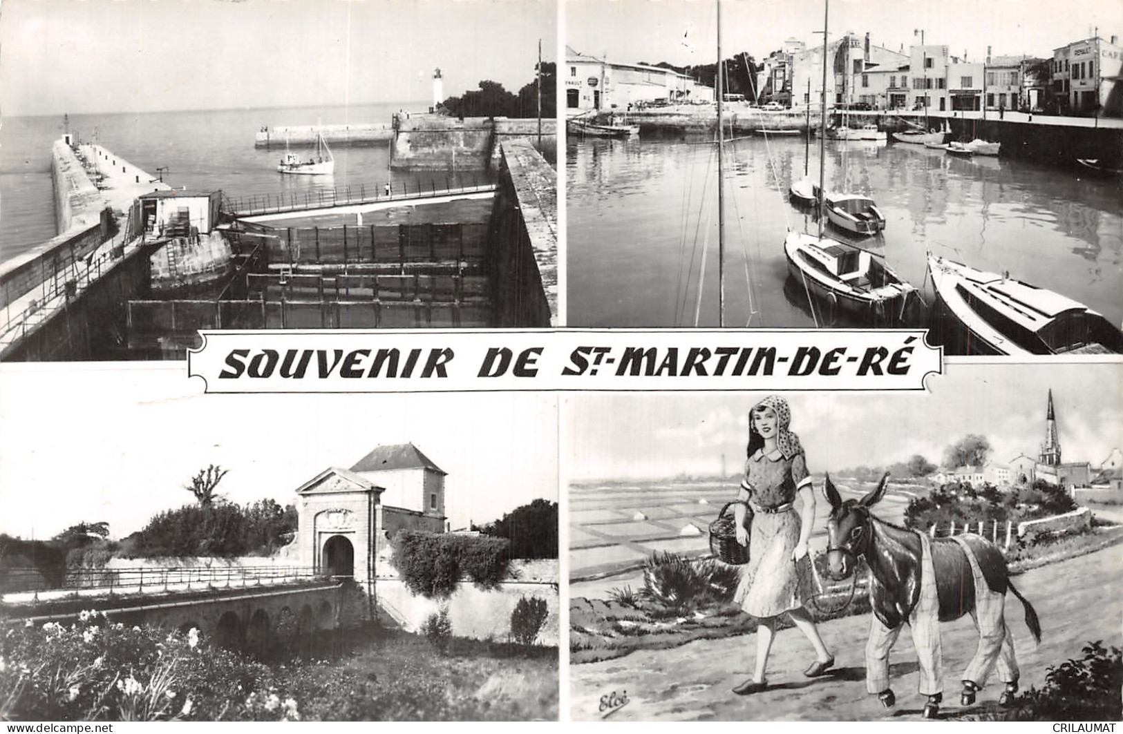 17-SAINT MARTIN DE RE-N°T5083-F/0035 - Saint-Martin-de-Ré