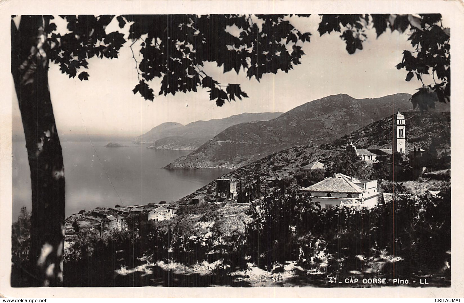 2B-CAP CORSE PINO-N°T5083-D/0269 - Other & Unclassified