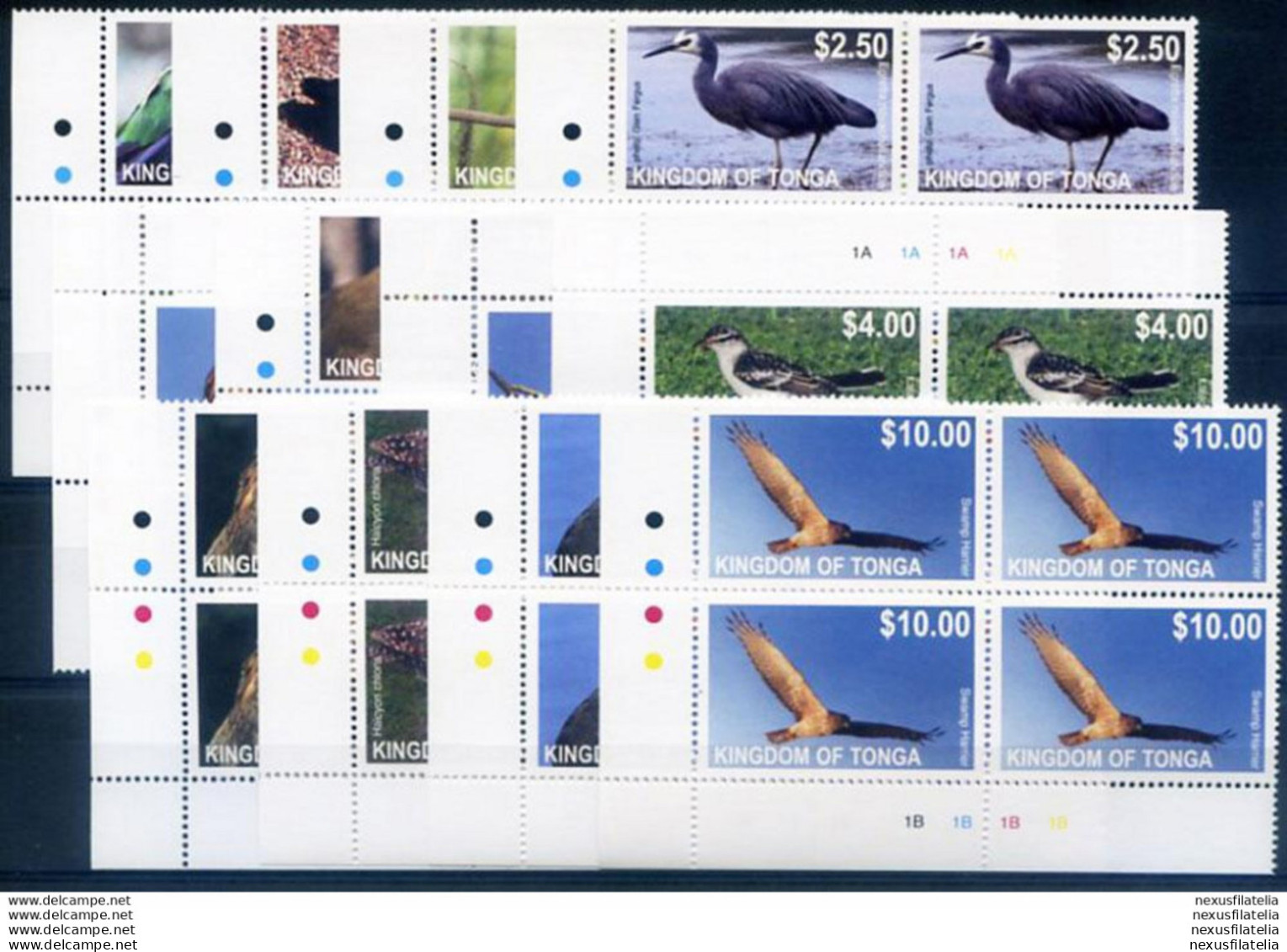 Definitiva. Fauna. Uccelli 2012. - Tonga (1970-...)