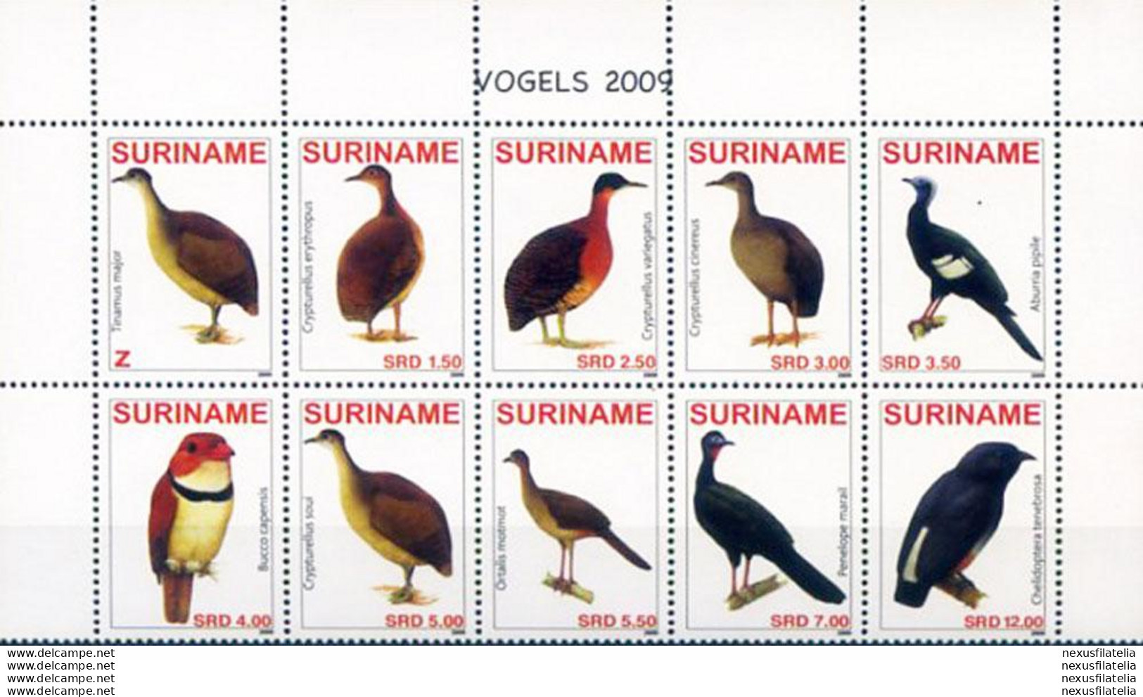 Fauna. Uccelli 2009. - Surinam