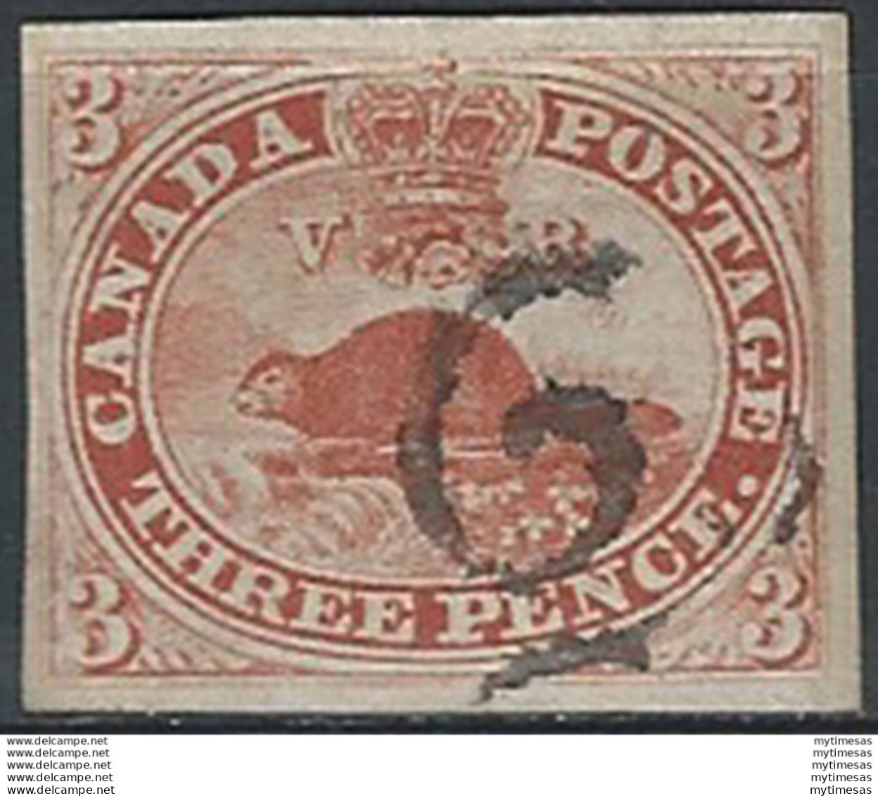 1851 Canada Quebec Castoro Americano 1v. Canceled SG N. 1 - Otros & Sin Clasificación