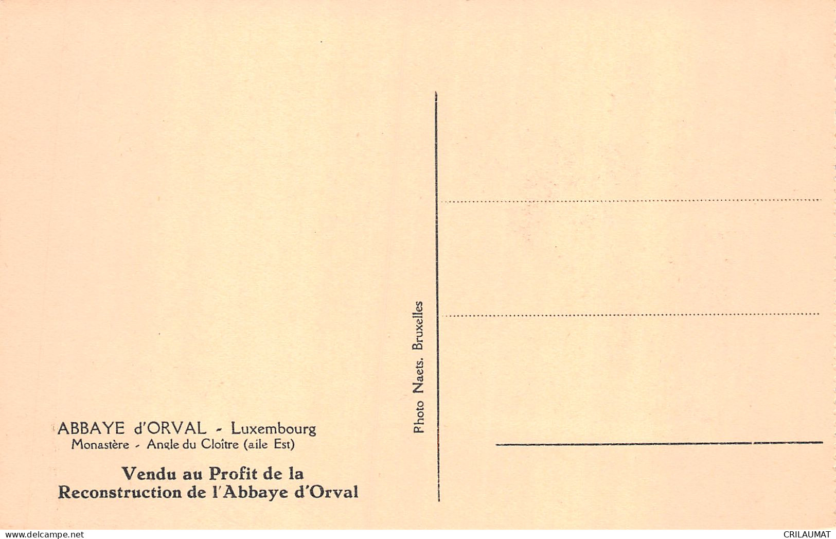 ET-BELGIQUE Luxembourg FLORENVILLE ABBAYE D ORVAL-N°T5084-E/0345 - Florenville