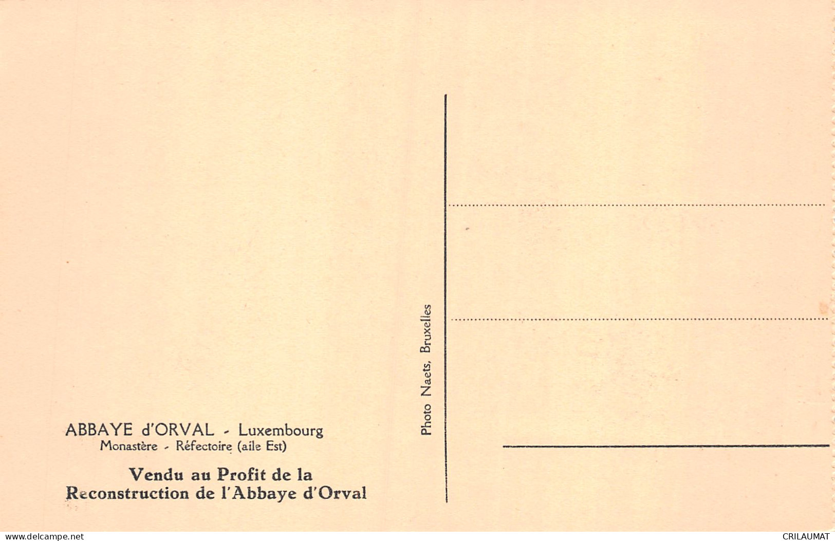 ET-BELGIQUE Luxembourg FLORENVILLE ABBAYE D ORVAL-N°T5084-E/0343 - Florenville