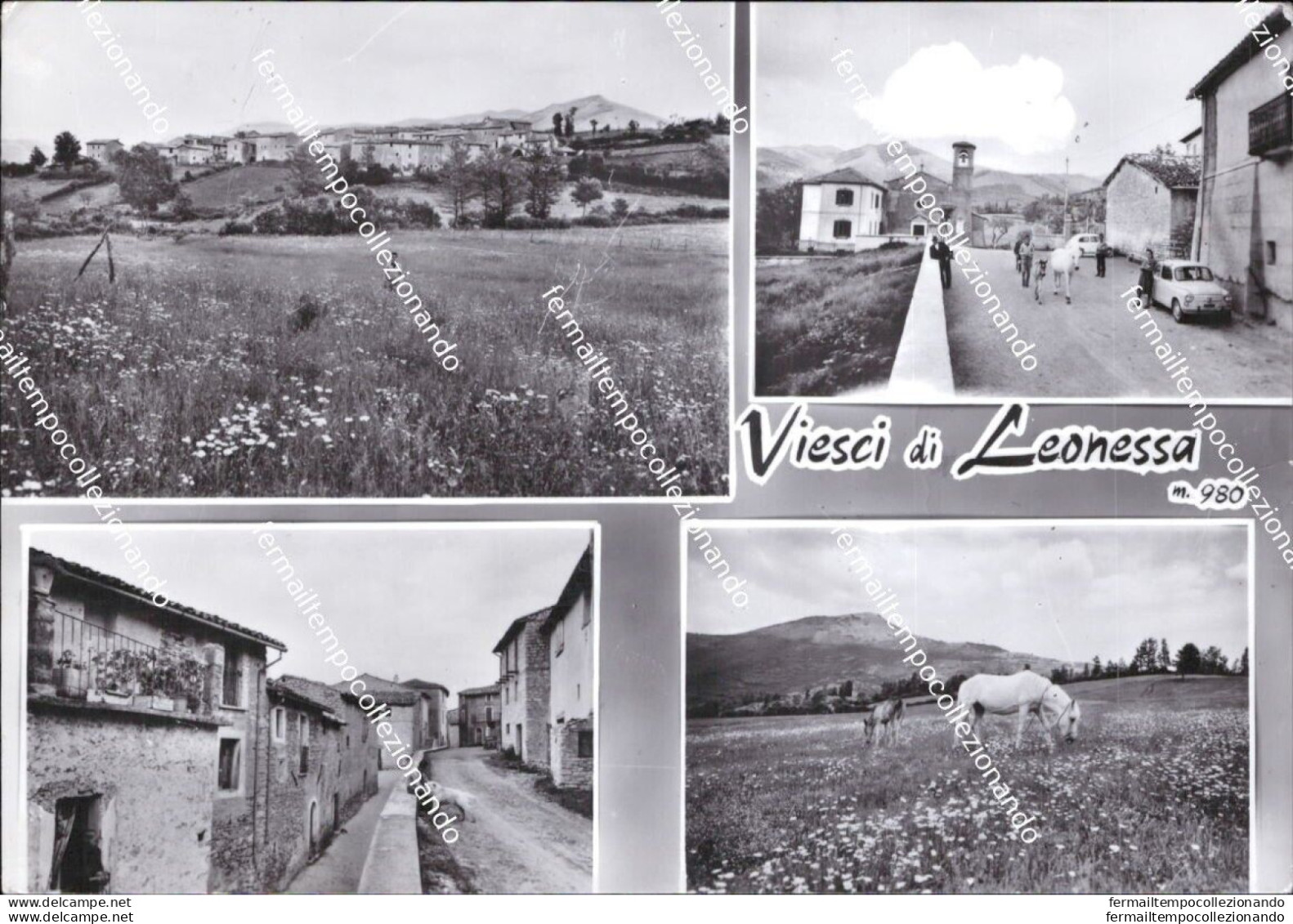 Ba719 Cartolina Viesci Di Leonessa Provincia Di Rieti Lazio - Rieti