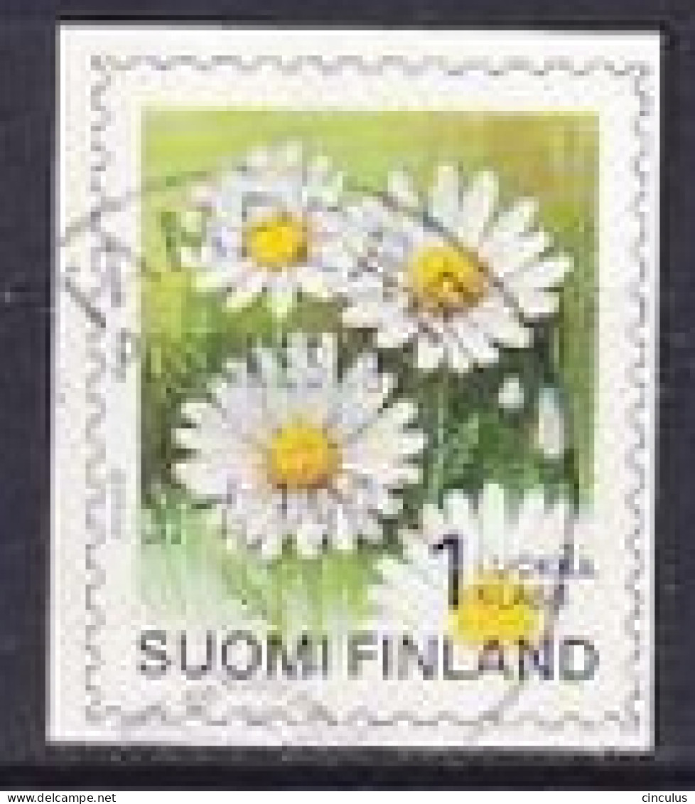 1995. Finland. Oxeye Daisy (Chrysanthemum Leucanthemum). Used. Mi. Nr. 1296 - Gebruikt