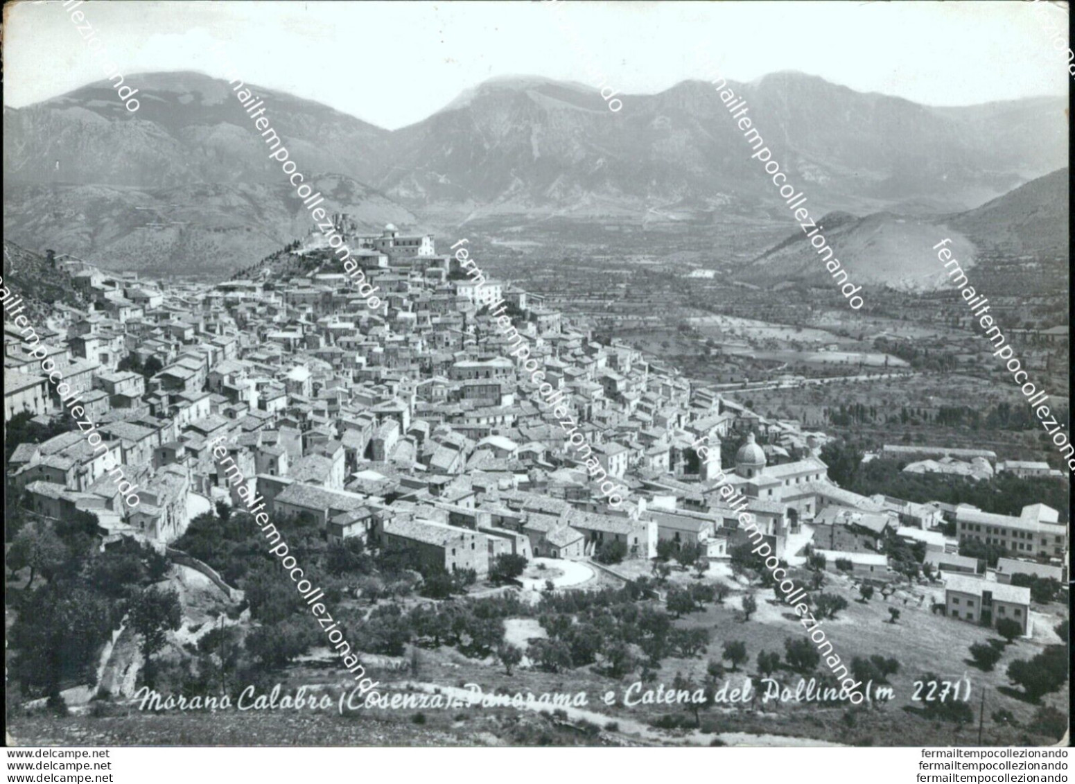 Bn38 Cartolina Marano Calabro Panorama E Catena Del Pollino Provincia Di Cosenza - Cosenza