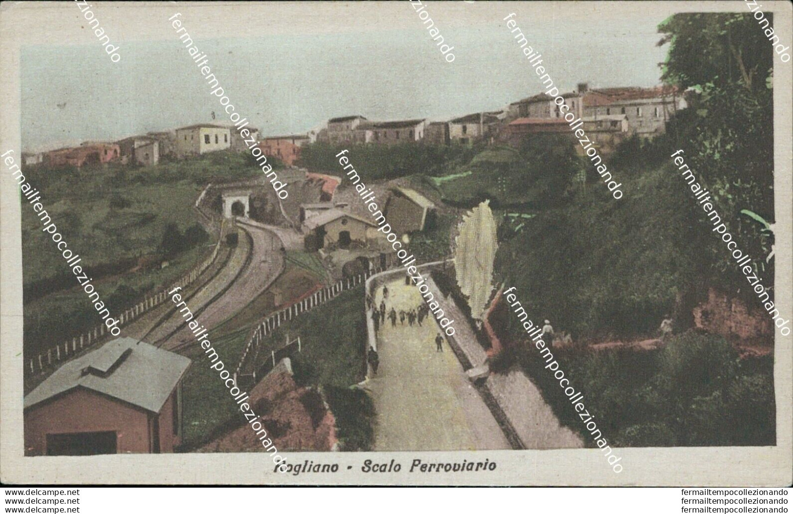 Ao598 Cartolina Rogliano Scalo Ferroviario Provincia Di Cosenza - Cosenza