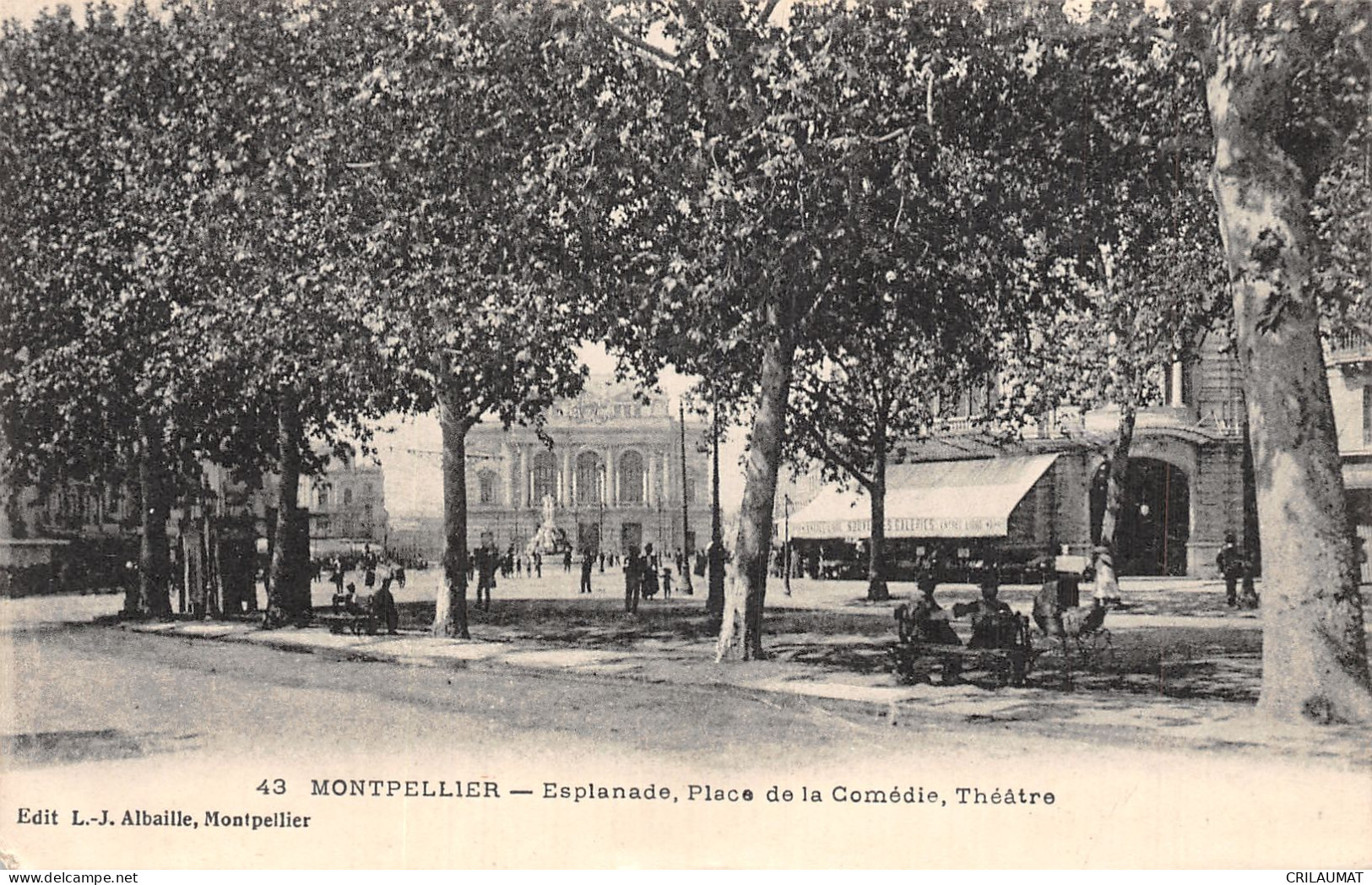 34-MONTPELLIER-N°T5084-G/0391 - Montpellier