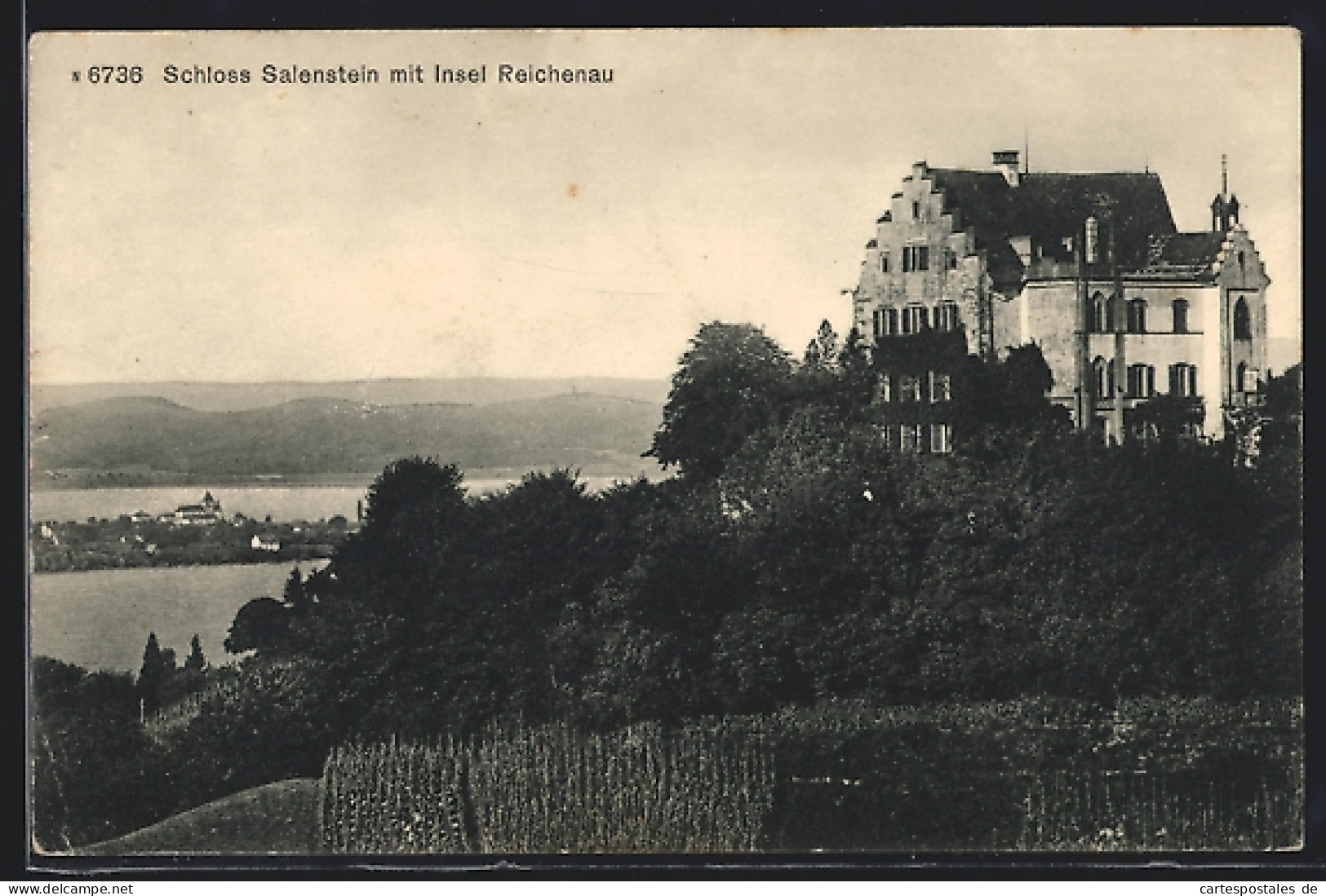 AK Salenstein, Blick Auf Das Schloss Und Insel Reichenau  - Salenstein