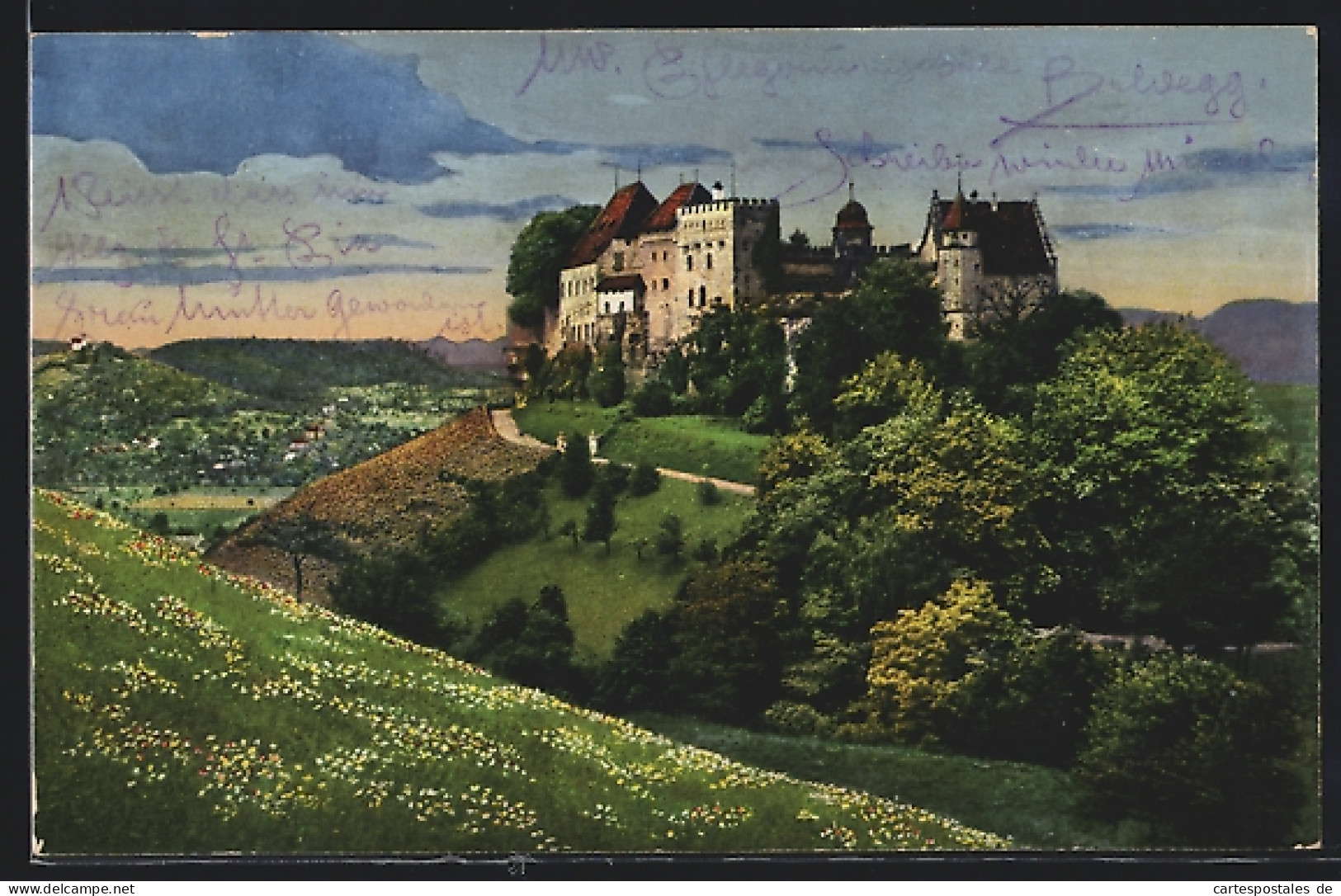 AK Lenzburg, Blick Auf Das Schloss  - Lenzburg