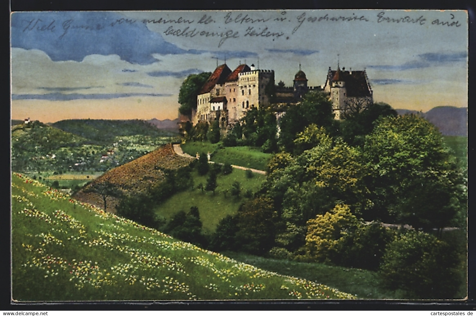 AK Lenzburg, Ansicht Vom Schloss  - Lenzburg