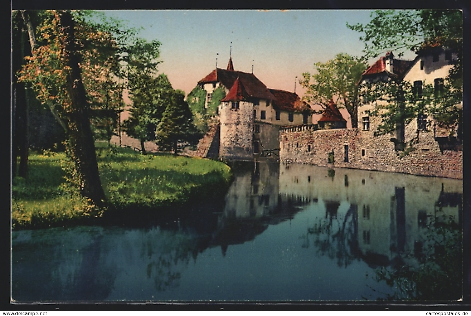 AK Hallwil, Ansicht Von Schloss Und Park  - Autres & Non Classés